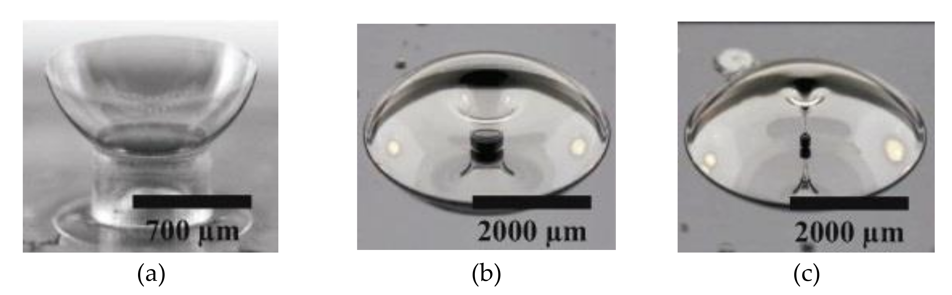 Micromachines 13 01676 g006