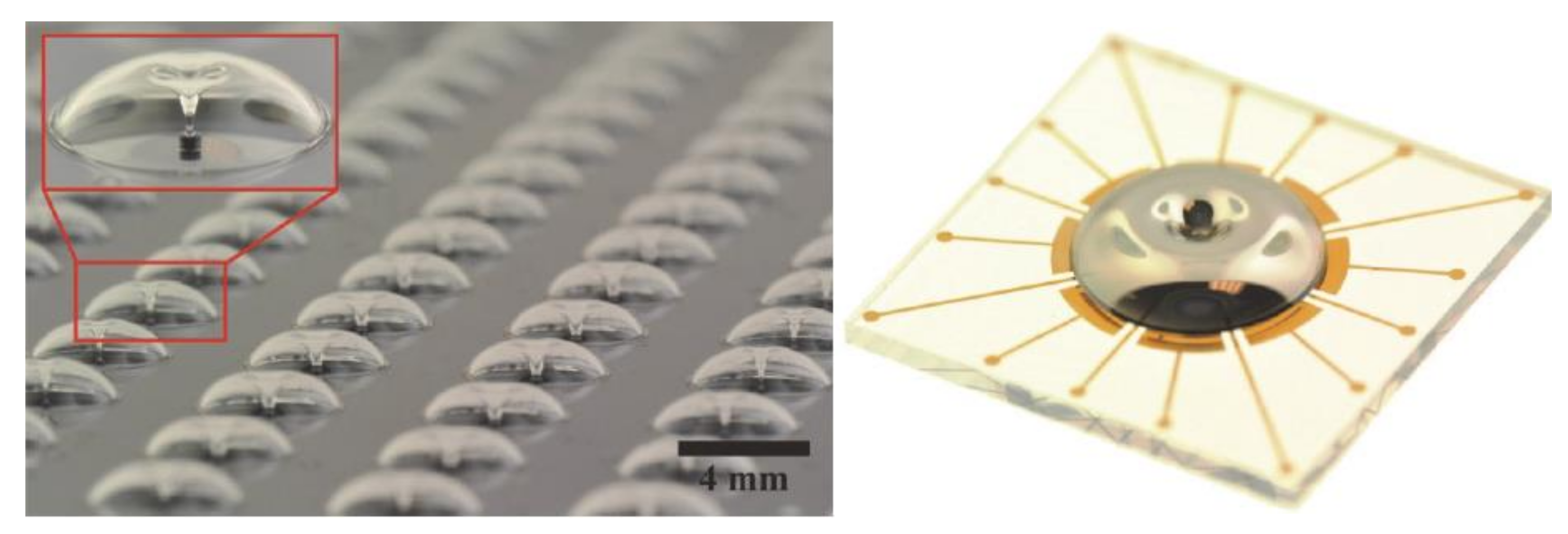 Micromachines 13 01676 g011