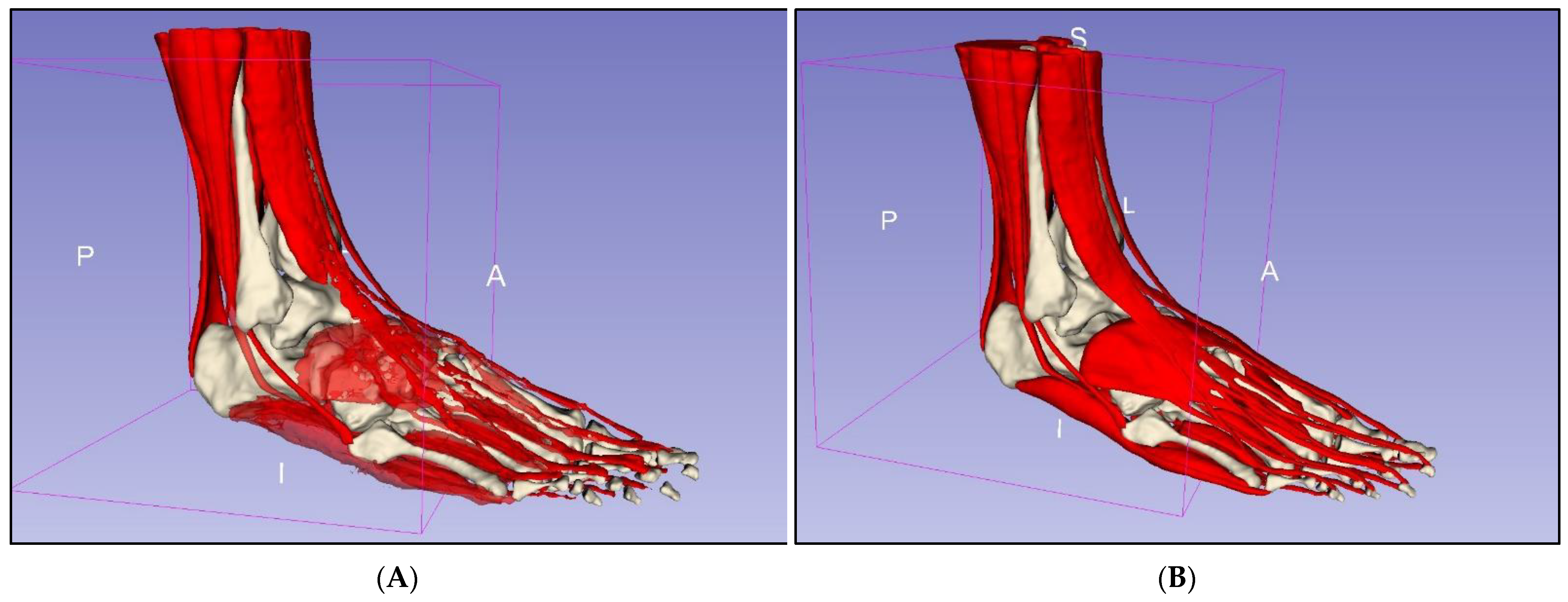 Micromachines 13 01701 g005 Micromachines 13 01701 g005