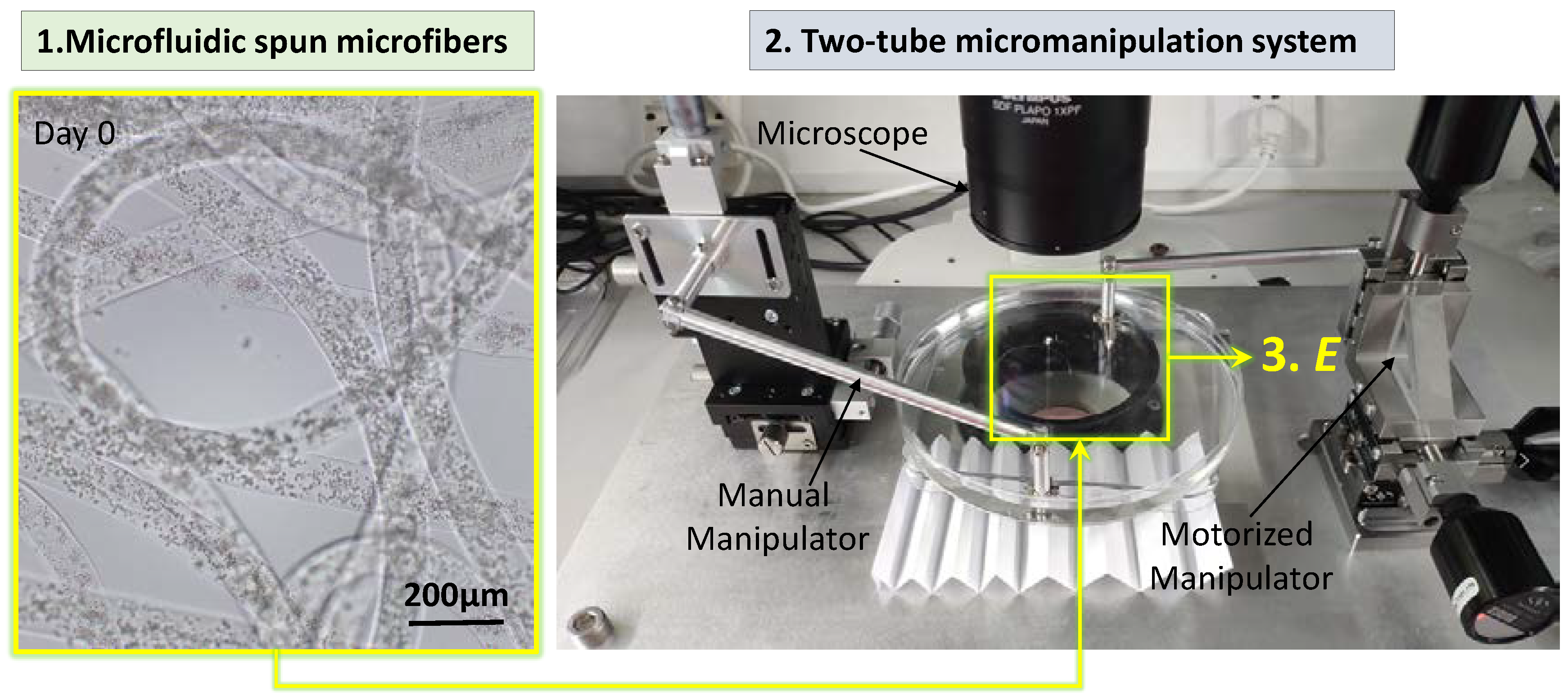 Micromachines 13 01703 g001 Micromachines 13 01703 g001