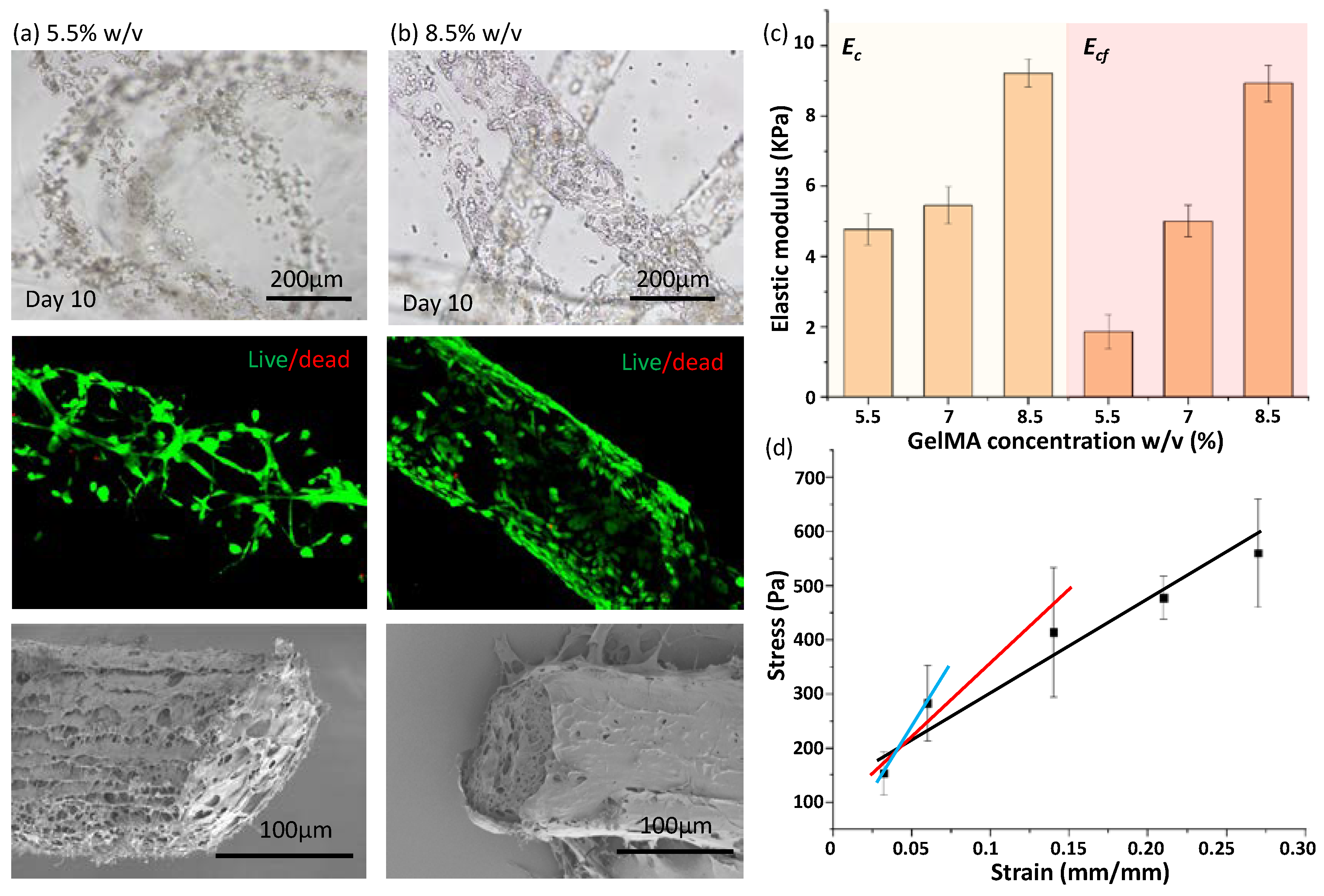 Micromachines 13 01703 g006 Micromachines 13 01703 g006