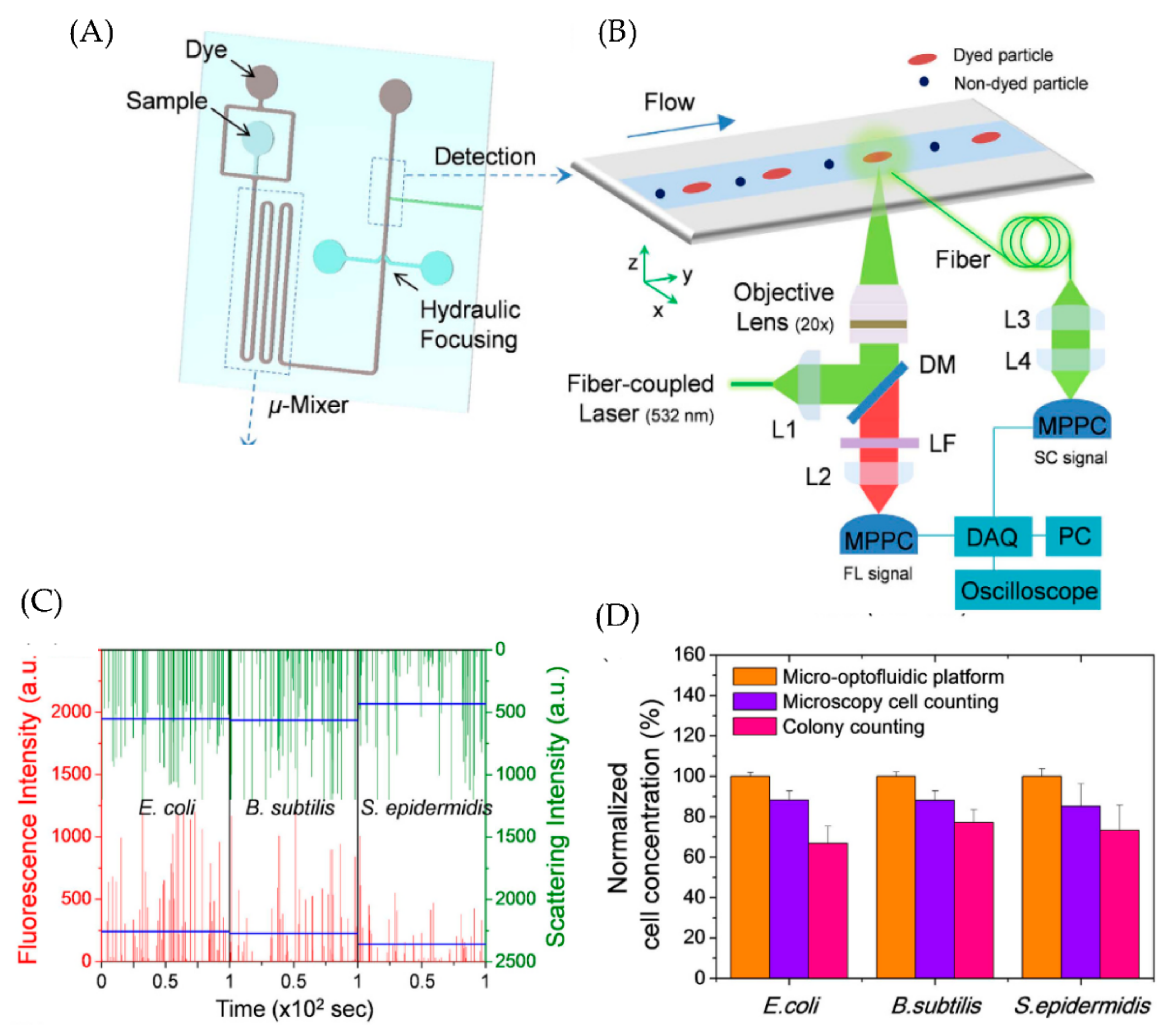 Micromachines 13 01716 g007 Micromachines 13 01716 g007