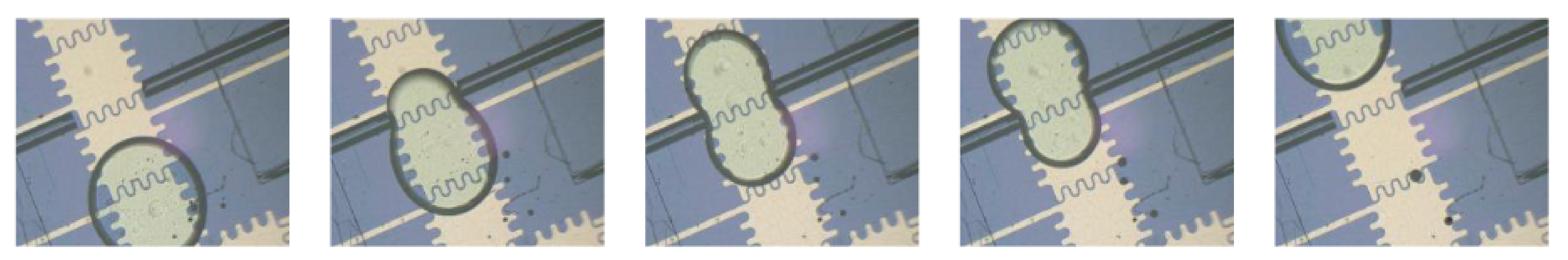 Micromachines 13 01716 g009 Micromachines 13 01716 g009