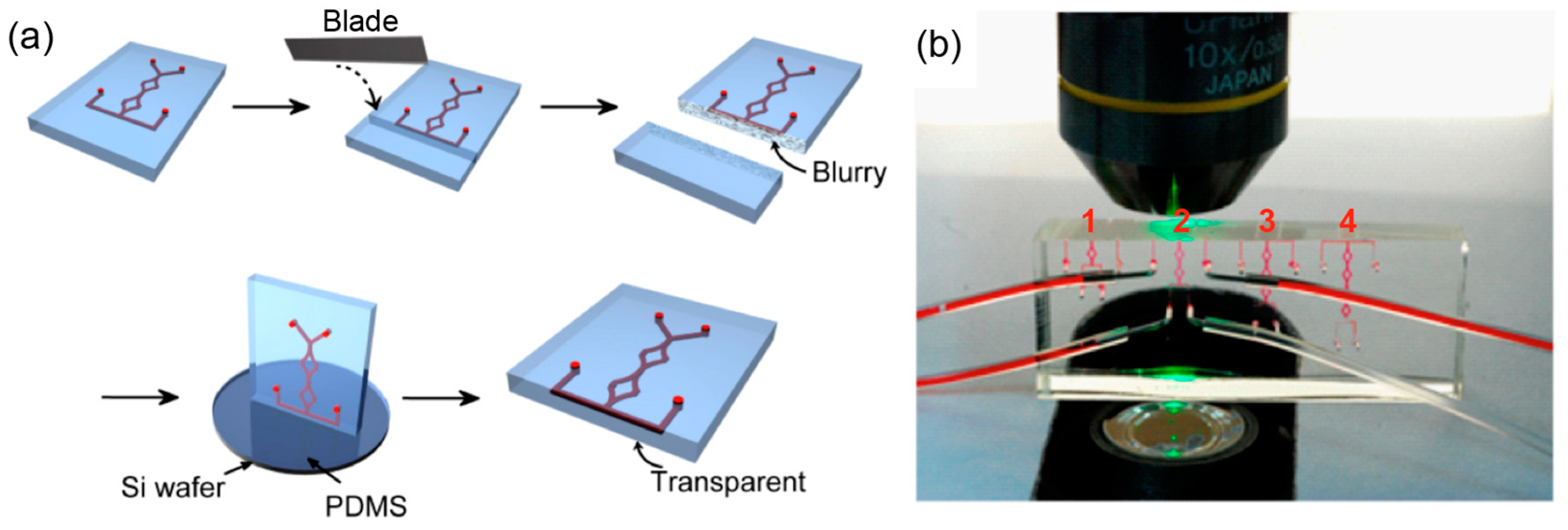 Micromachines 13 01720 g002 Micromachines 13 01720 g002