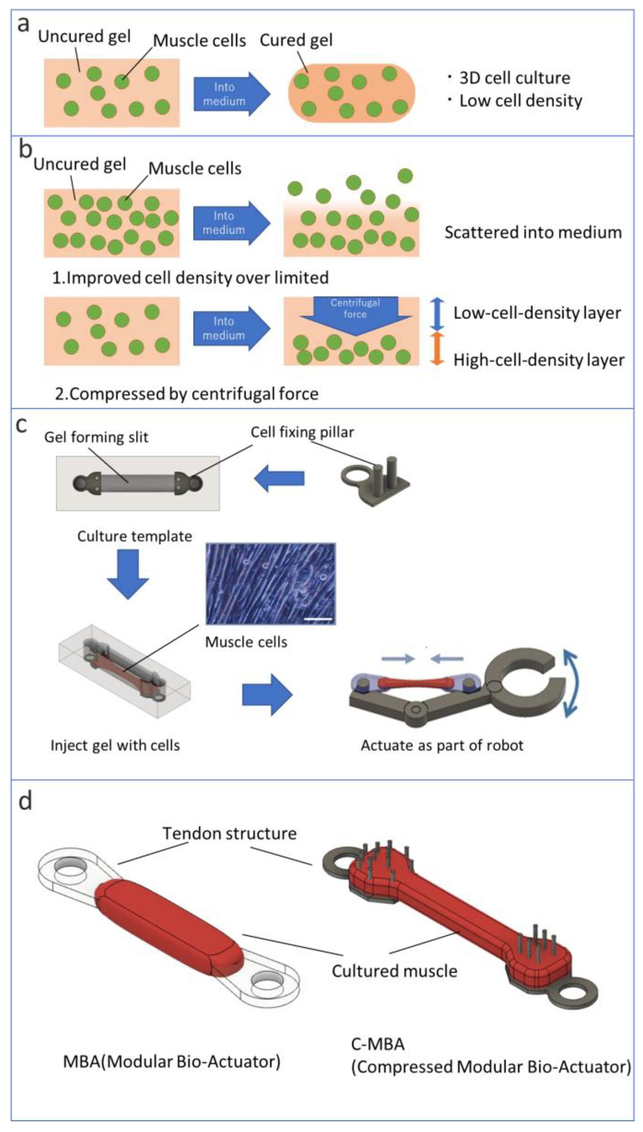 Micromachines 13 01725 g001 Micromachines 13 01725 g001