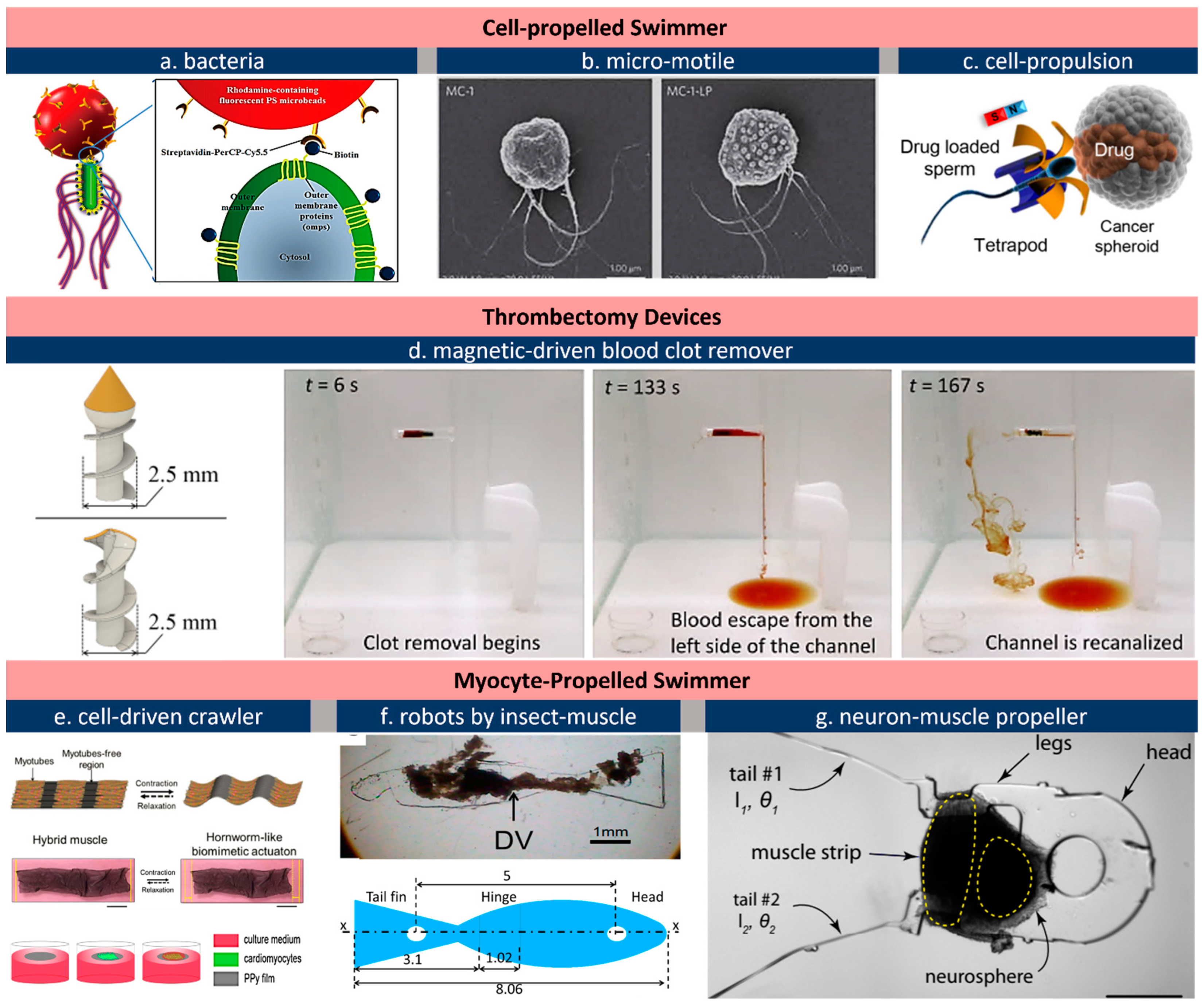 Micromachines 13 01756 g005 Micromachines 13 01756 g005