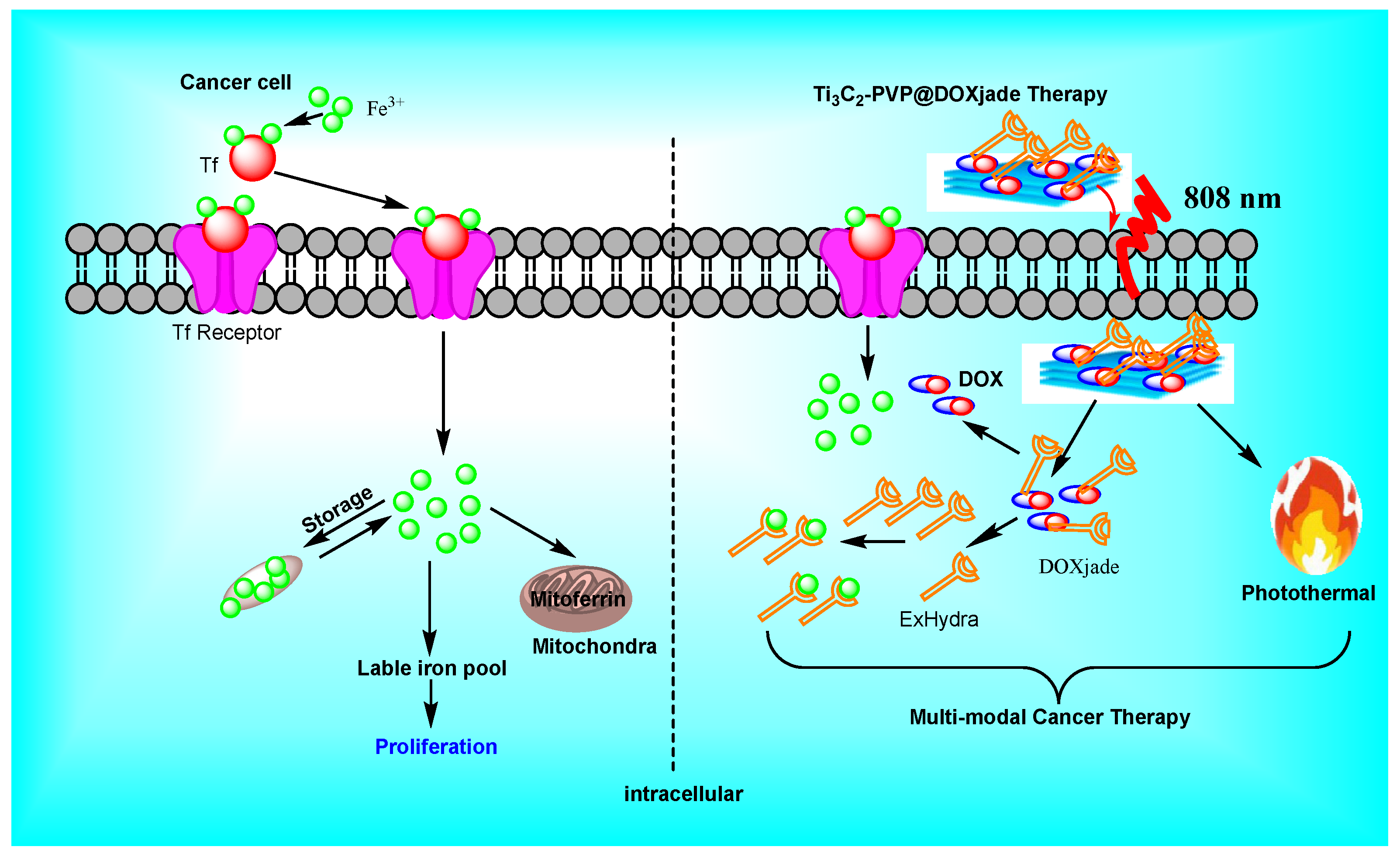 Micromachines 13 01773 g004 Micromachines 13 01773 g004