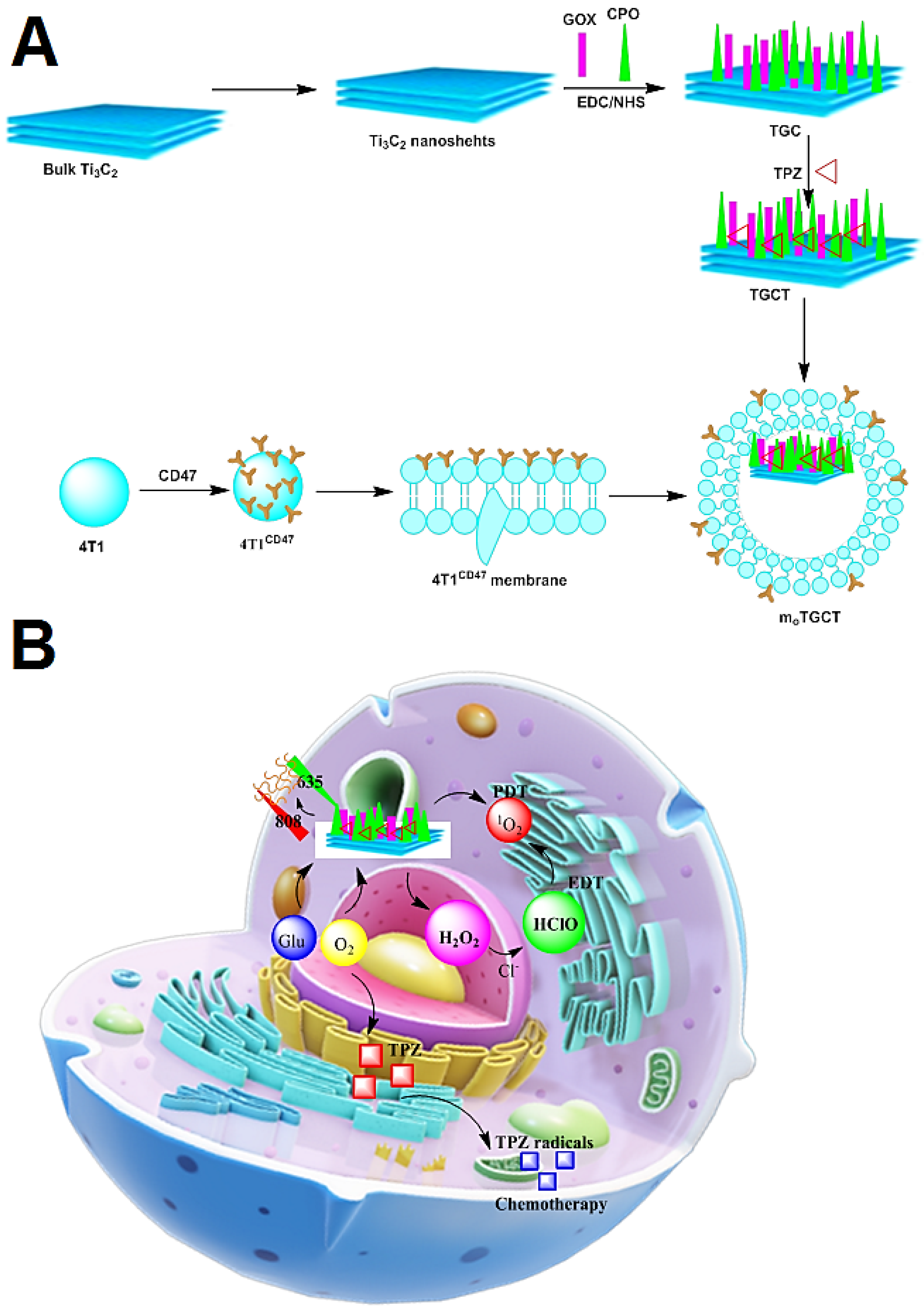 Micromachines 13 01773 g005 Micromachines 13 01773 g005