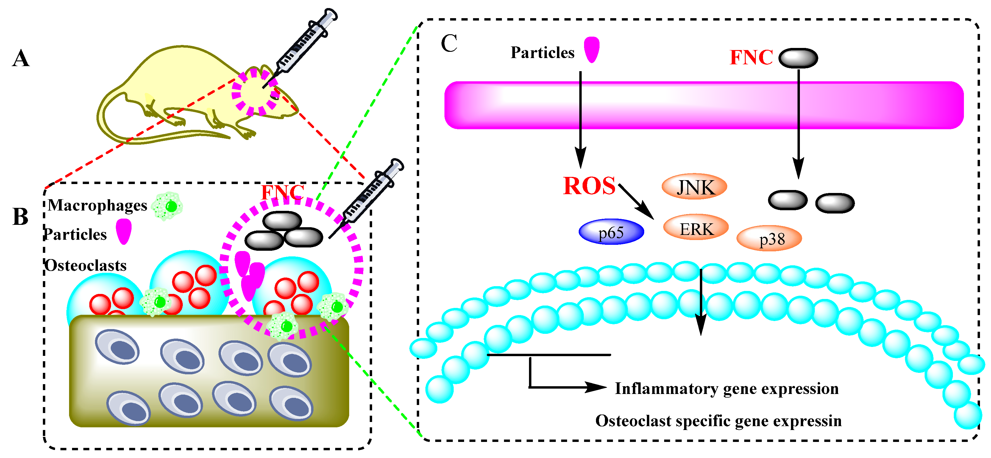 Micromachines 13 01773 g006 Micromachines 13 01773 g006