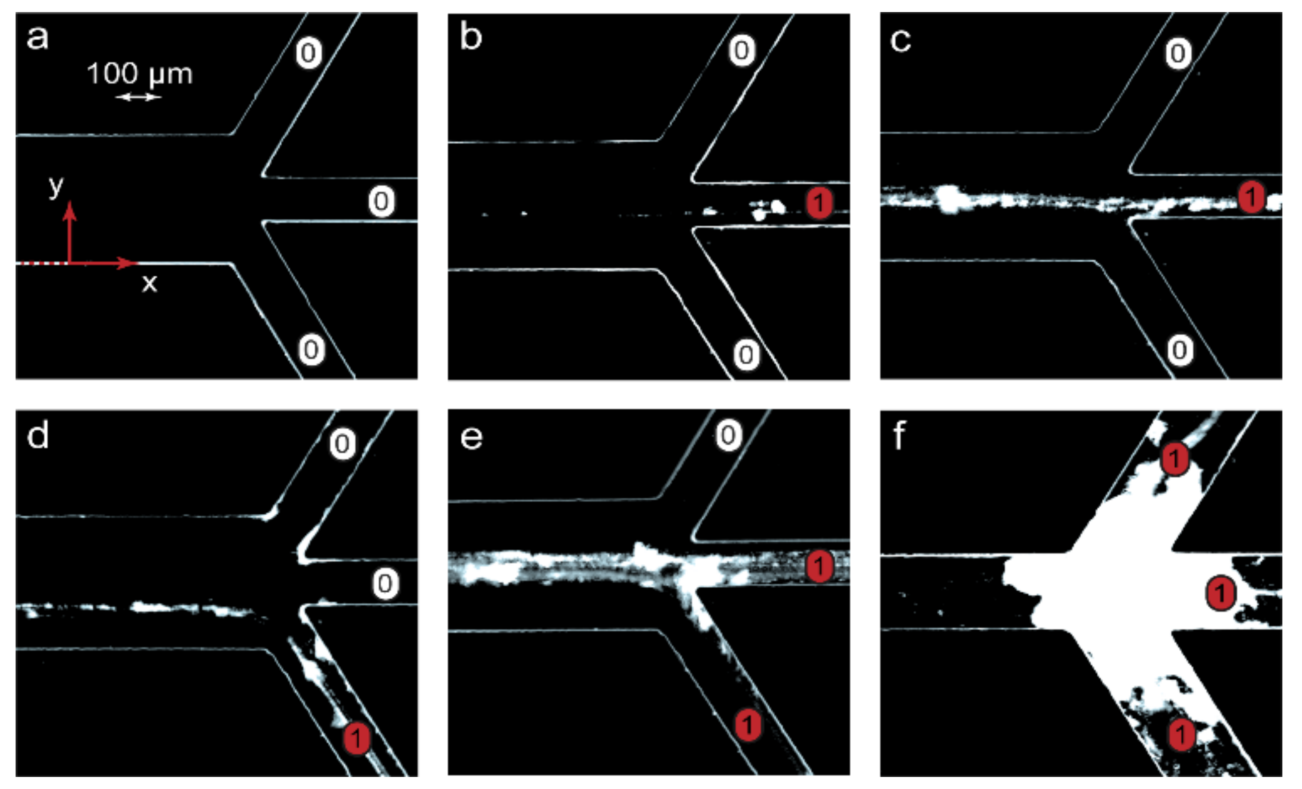 Micromachines 13 01778 g004 Micromachines 13 01778 g004