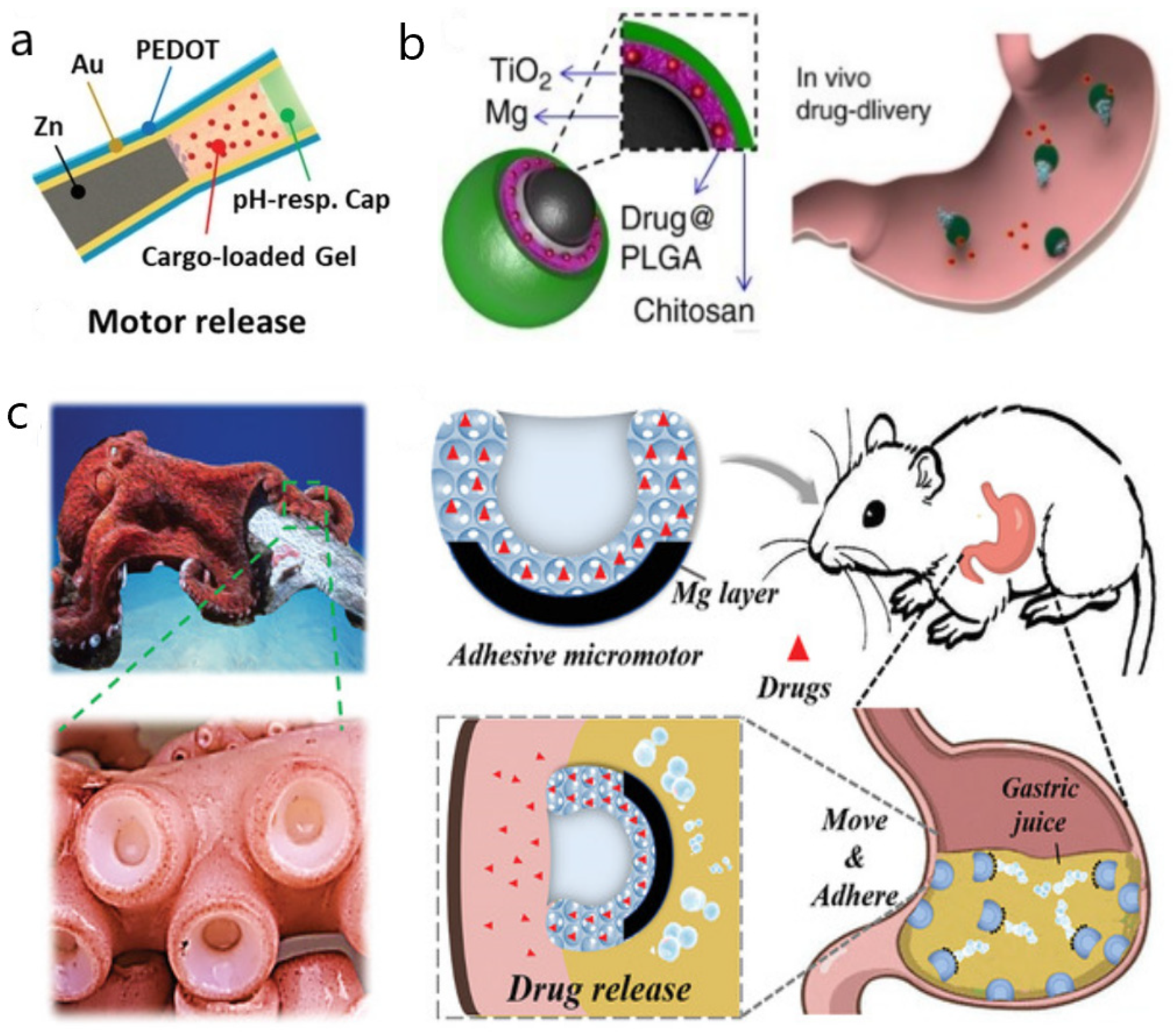 Micromachines 13 01780 g001 Micromachines 13 01780 g001
