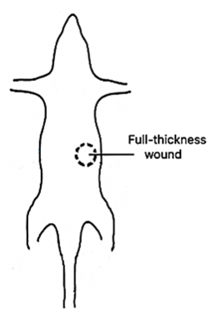 Micromachines 13 01788 g002