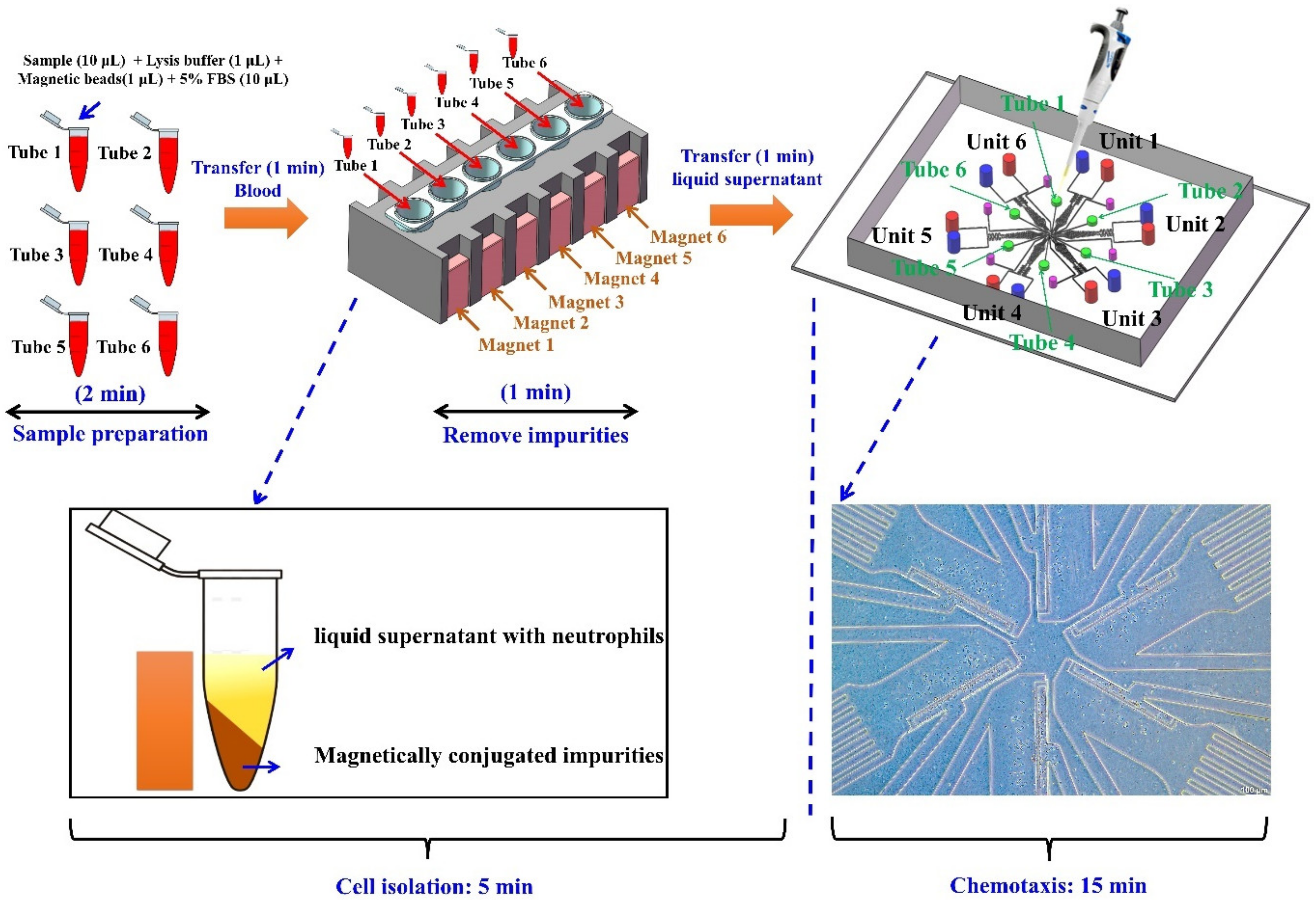 Micromachines 13 01820 g001 Micromachines 13 01820 g001
