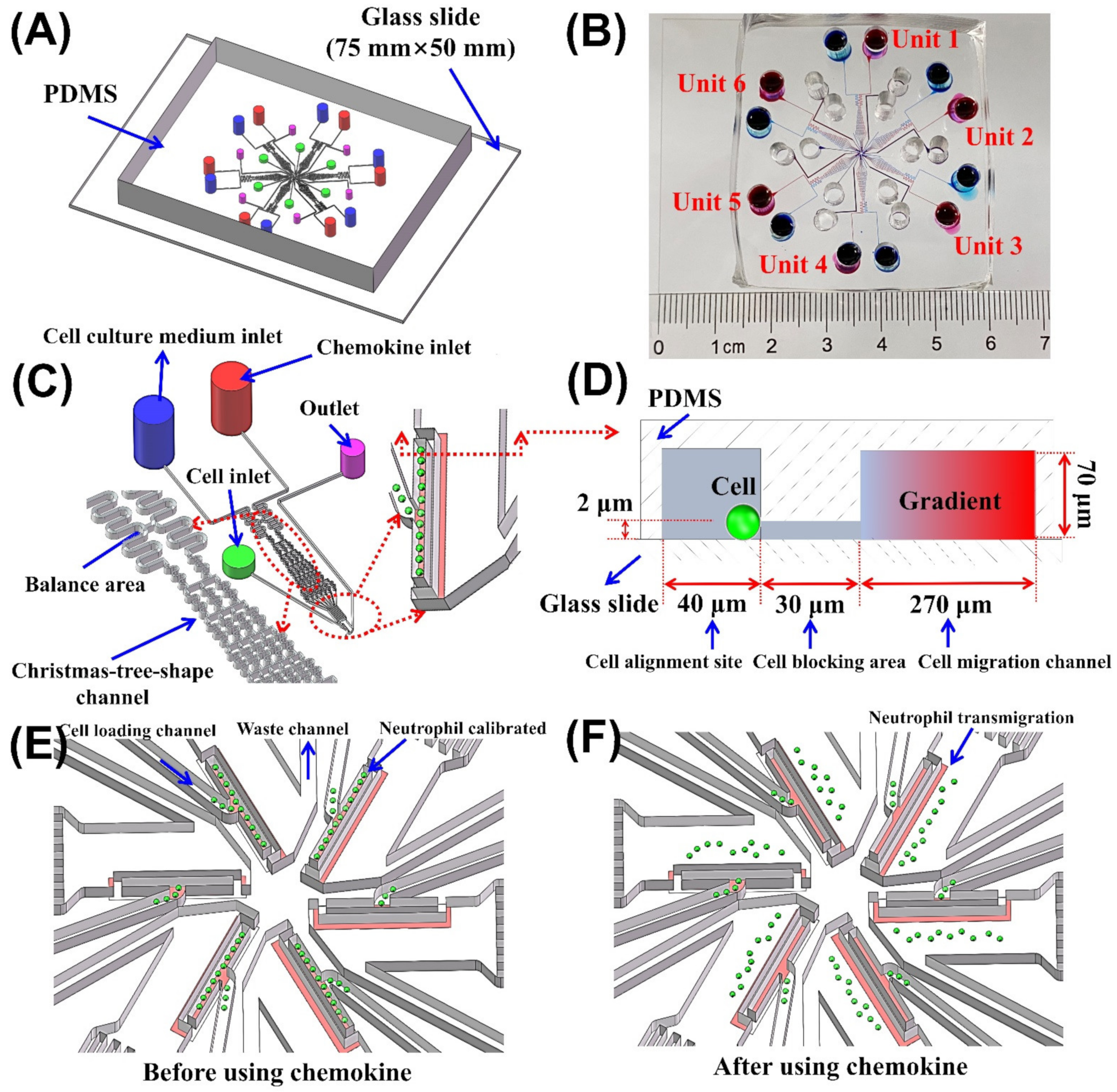 Micromachines 13 01820 g002 Micromachines 13 01820 g002