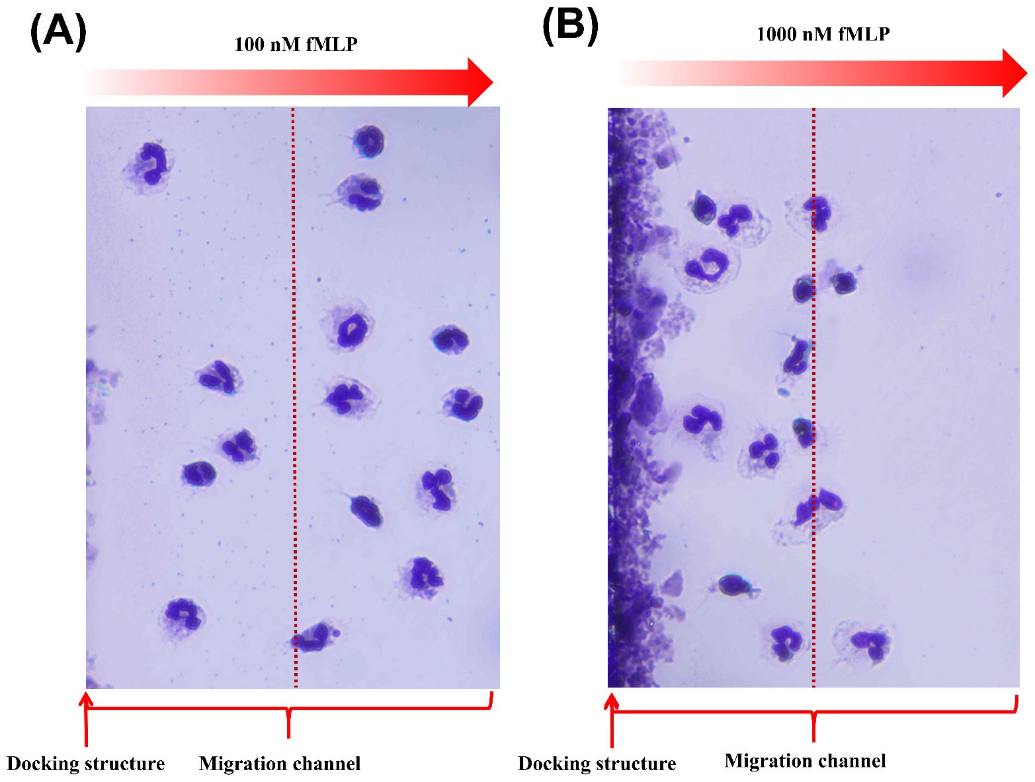 Micromachines 13 01820 g005 Micromachines 13 01820 g005