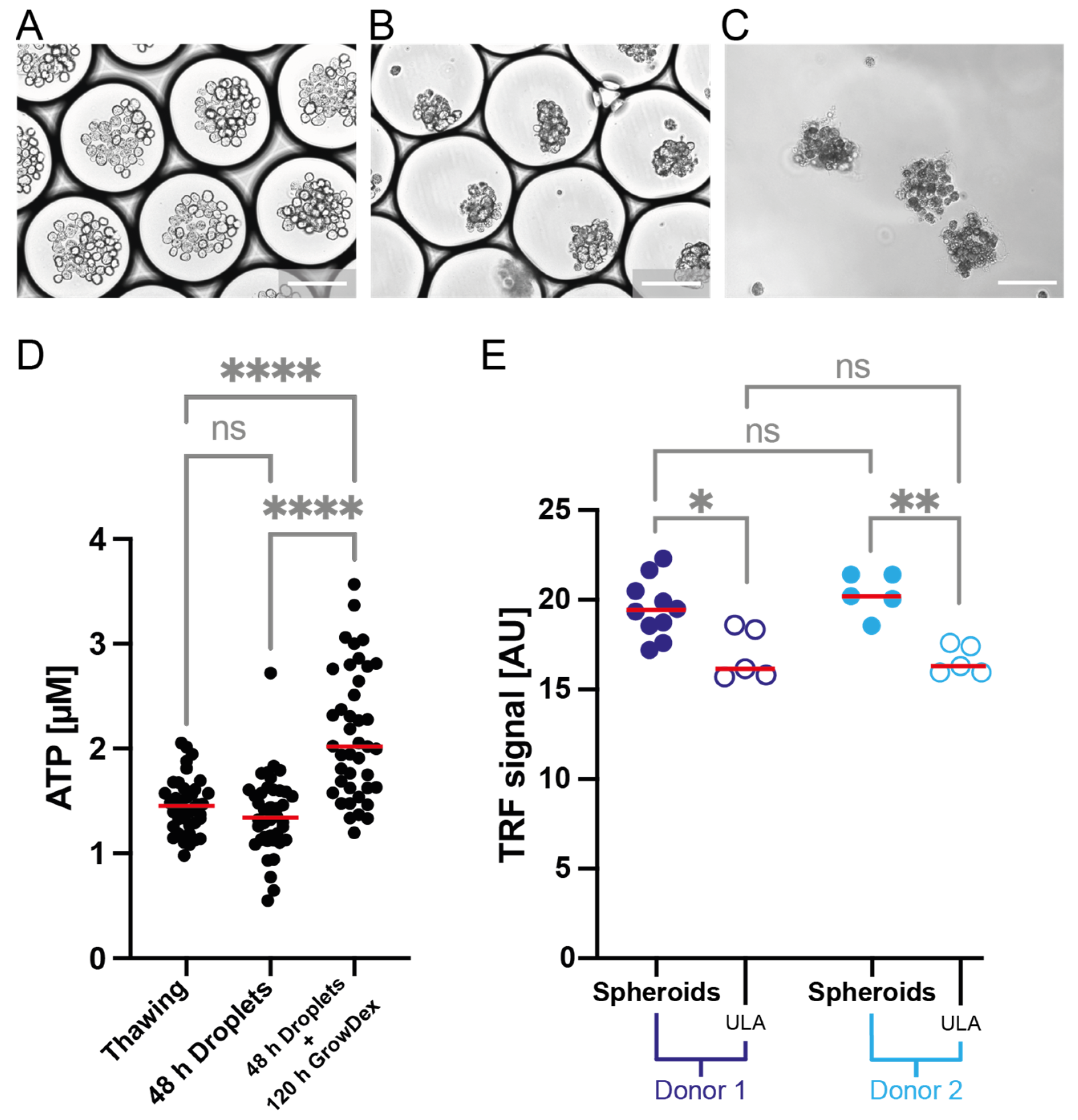 Micromachines 13 01823 g008