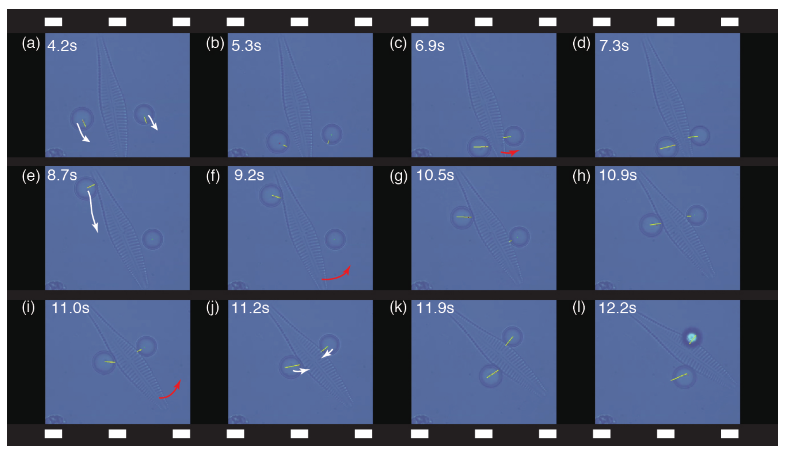 Micromachines 13 01830 g005