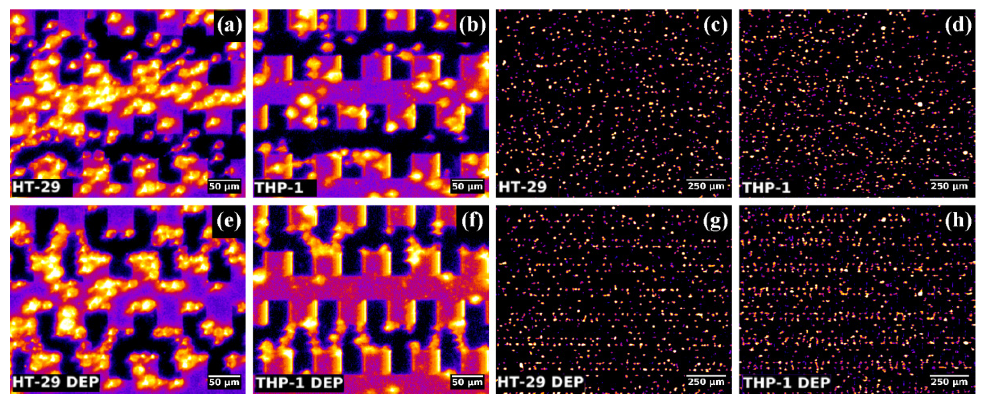 Micromachines 13 01833 g002 Micromachines 13 01833 g002