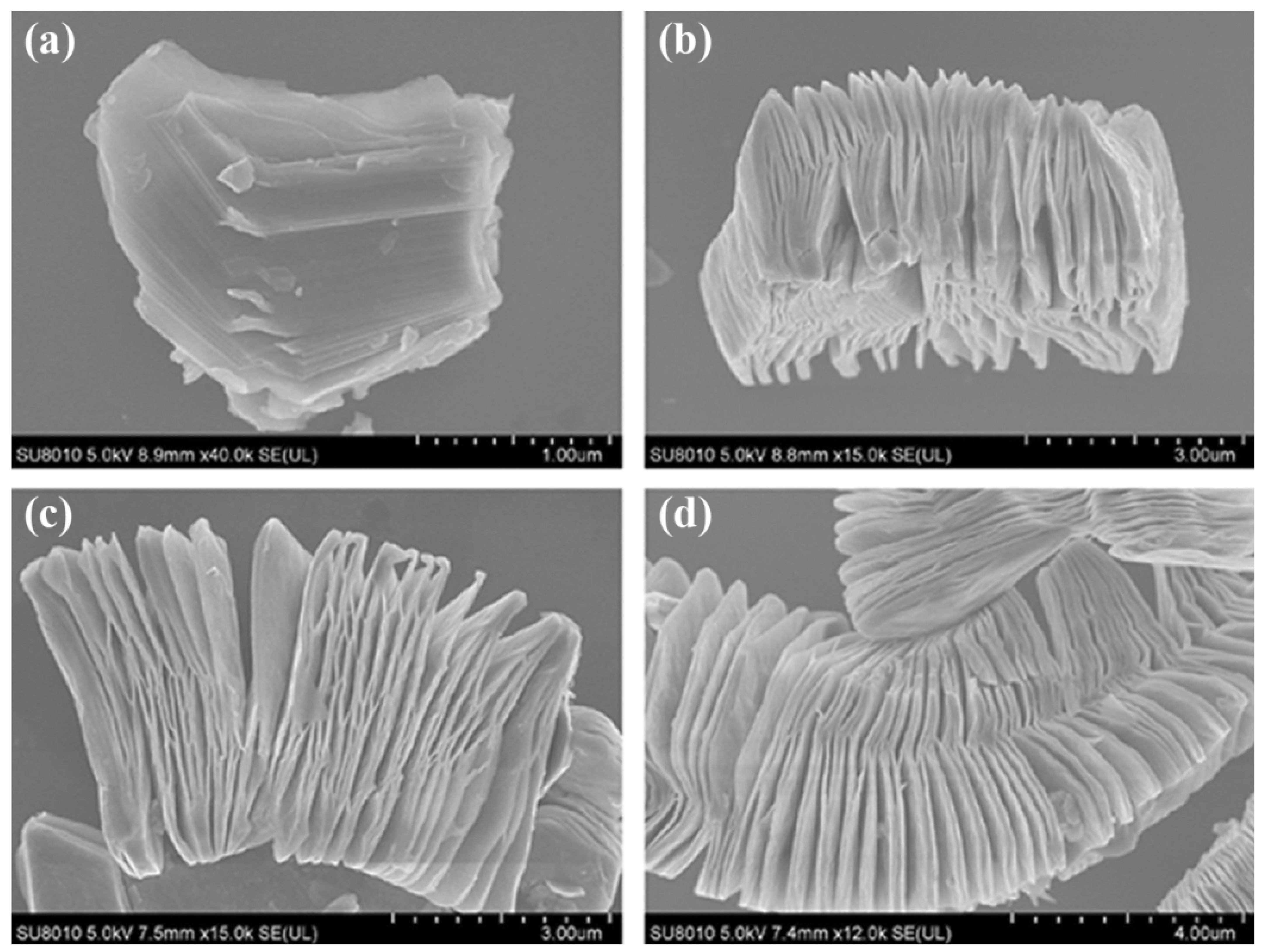 Micromachines 13 01837 g004 550