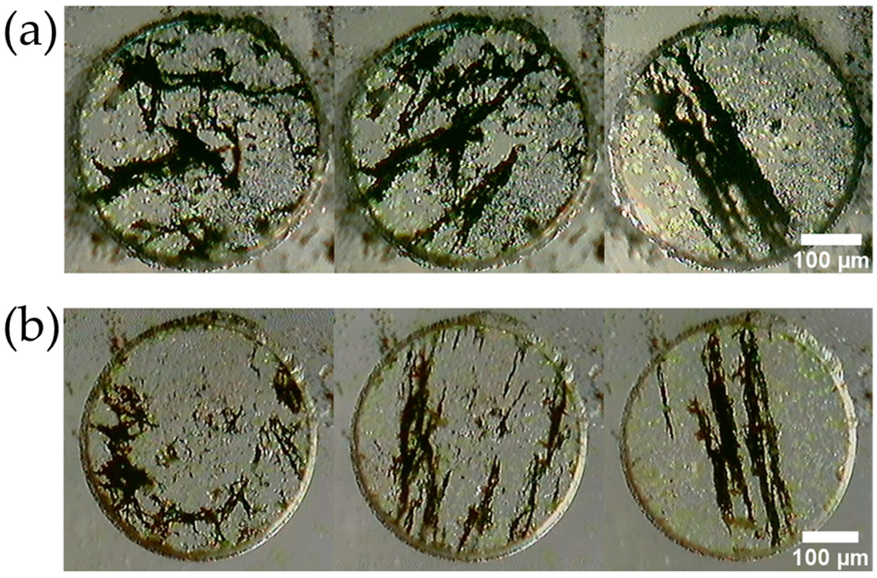 Micromachines 13 01842 g008