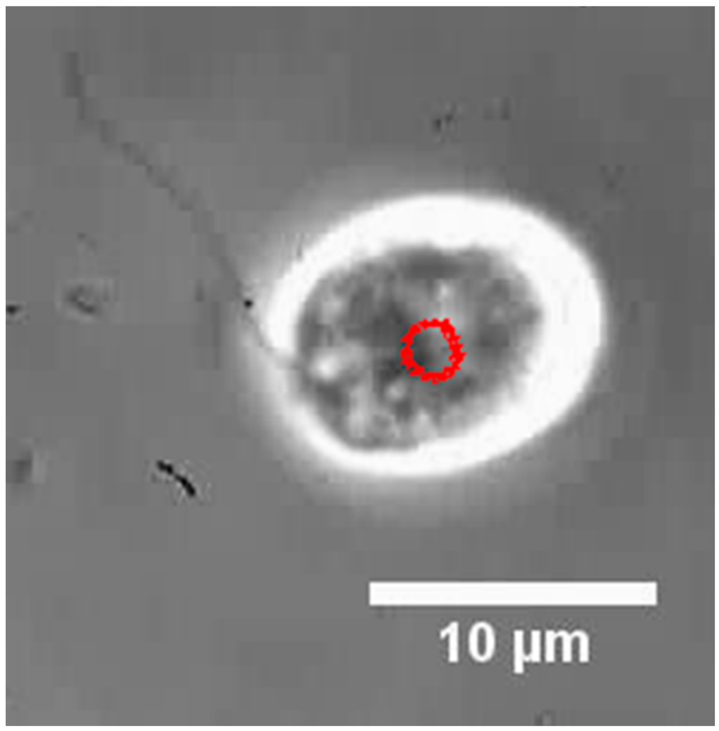 Micromachines 13 01842 g009