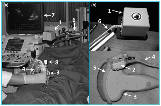Recent Advances in Tracking Devices for Biomedical