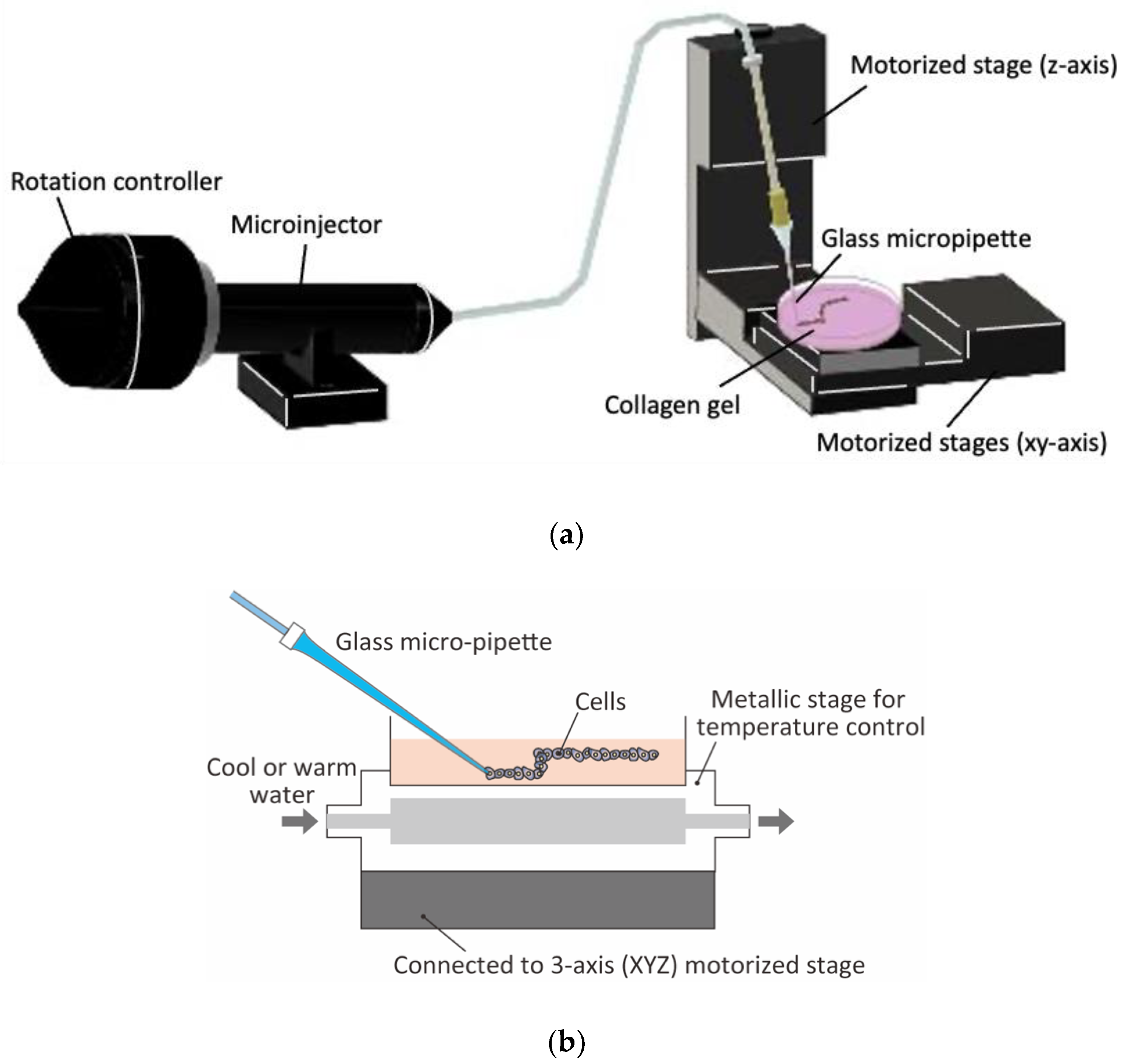 Micromachines 13 01866 g001
