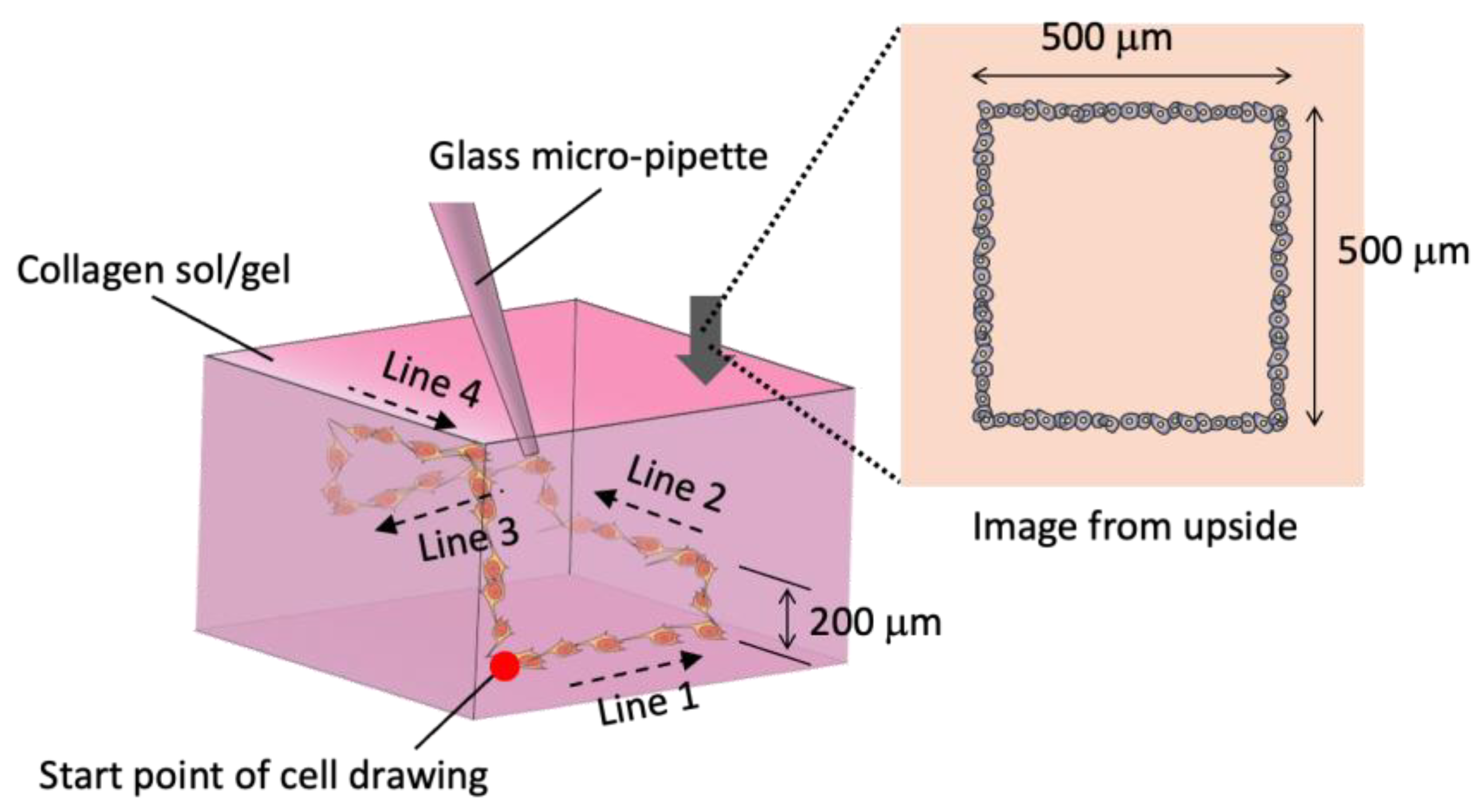 Micromachines 13 01866 g003