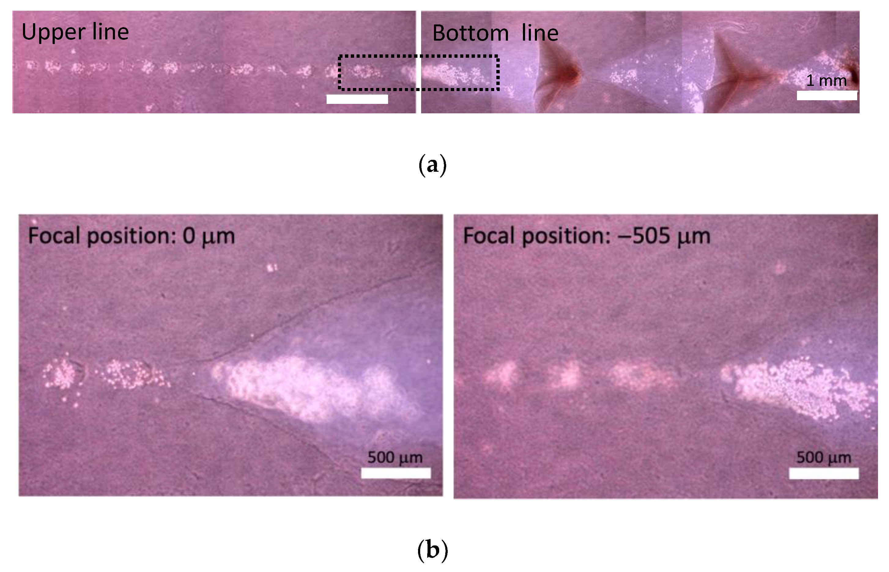 Micromachines 13 01866 g005