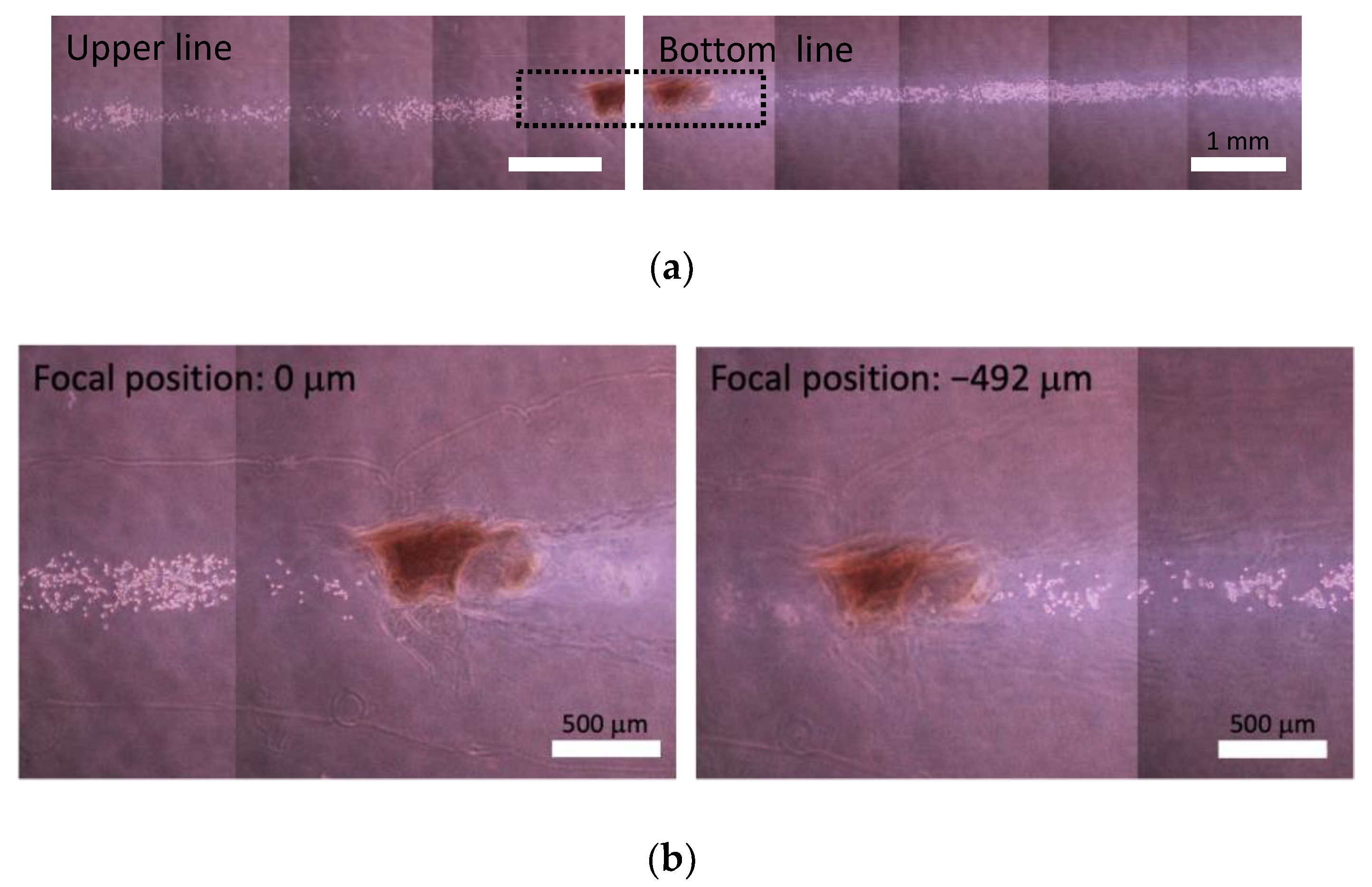 Micromachines 13 01866 g006