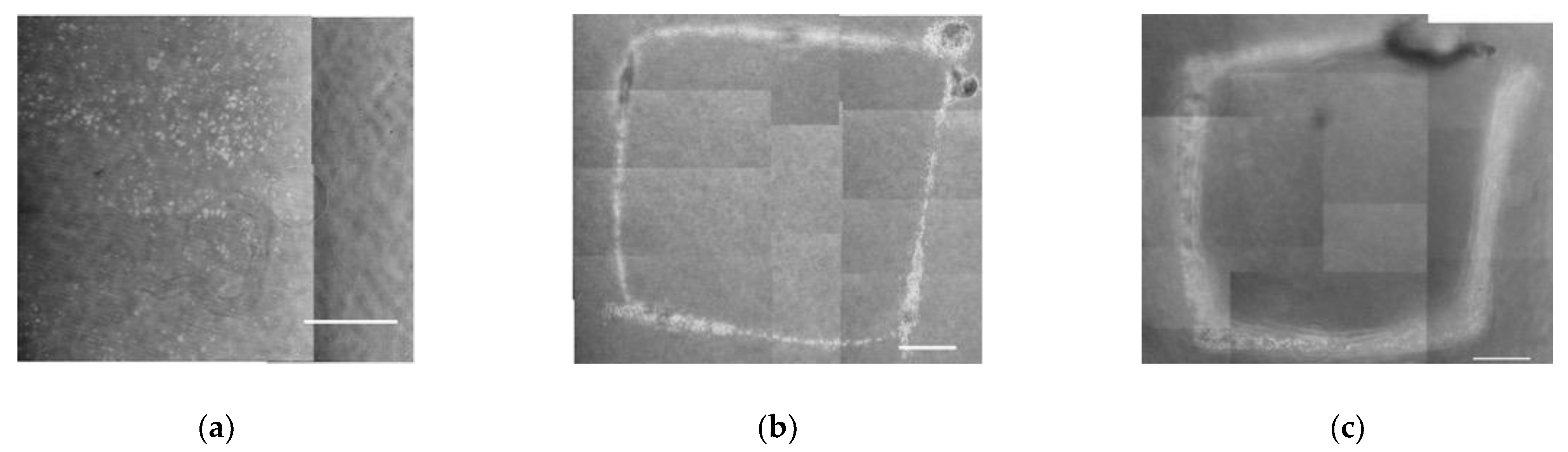 Micromachines 13 01866 g008
