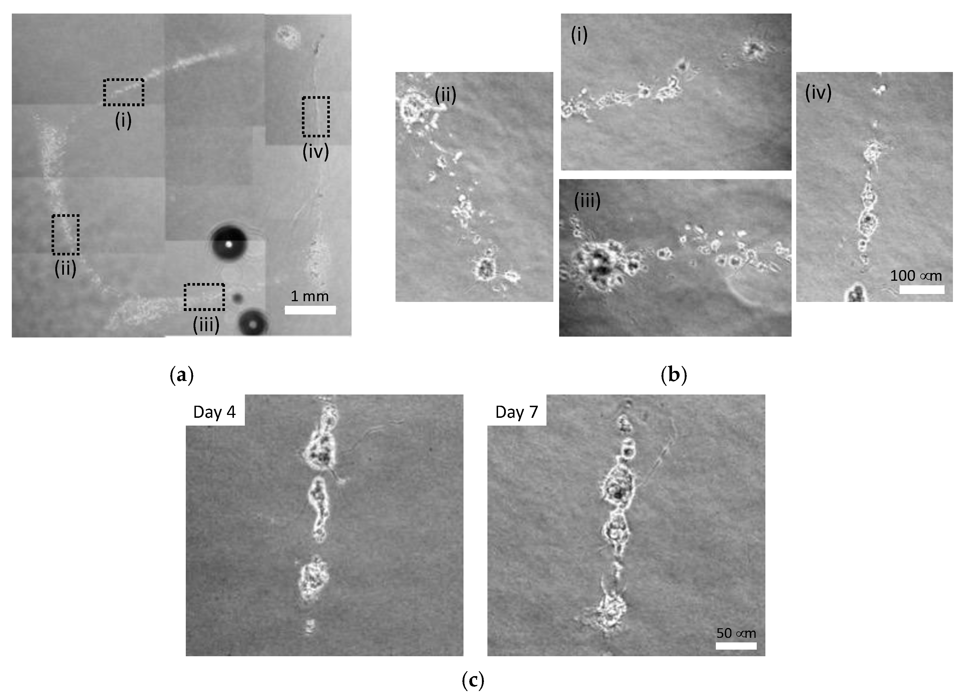 Micromachines 13 01866 g009
