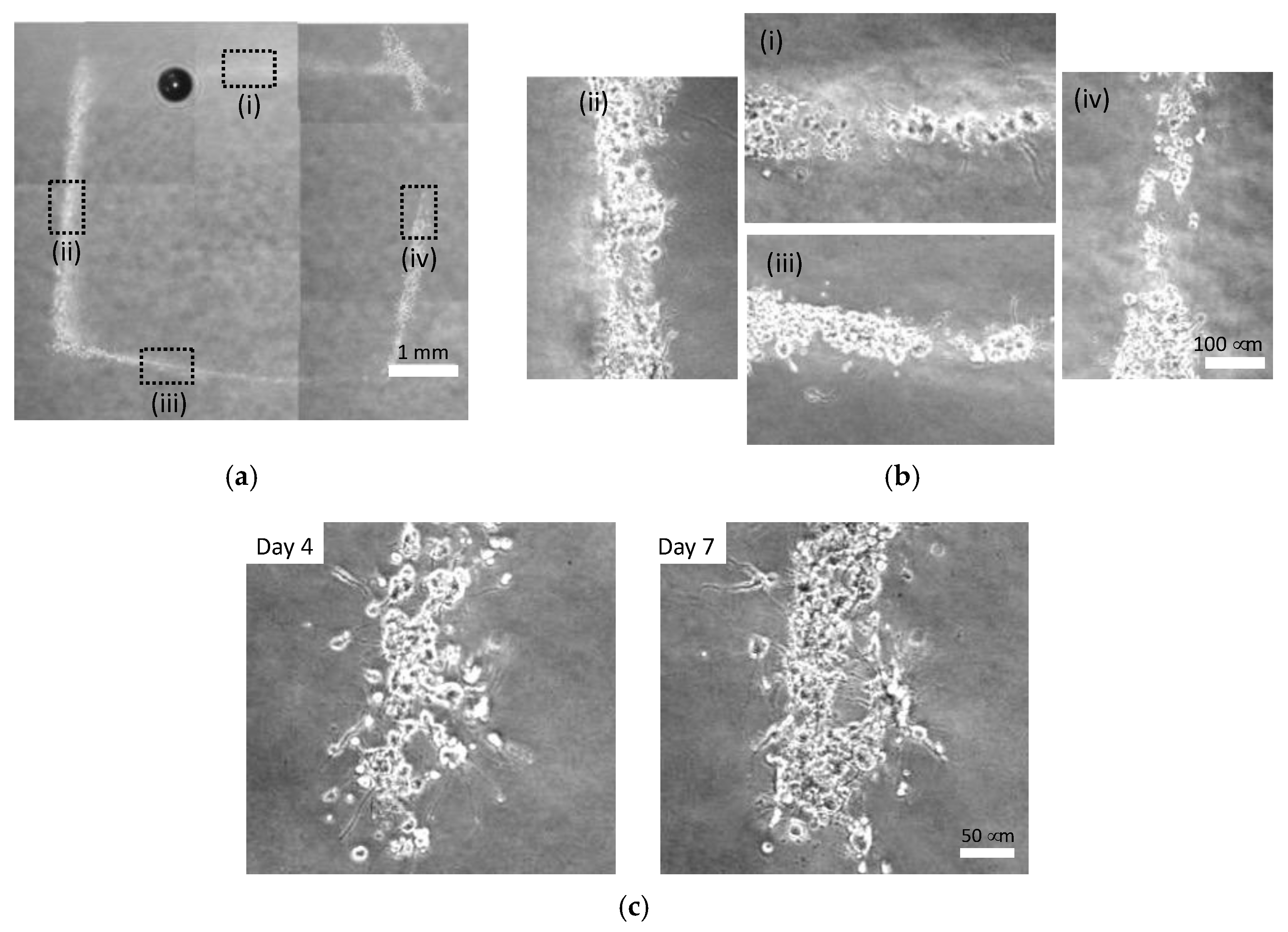 Micromachines 13 01866 g010