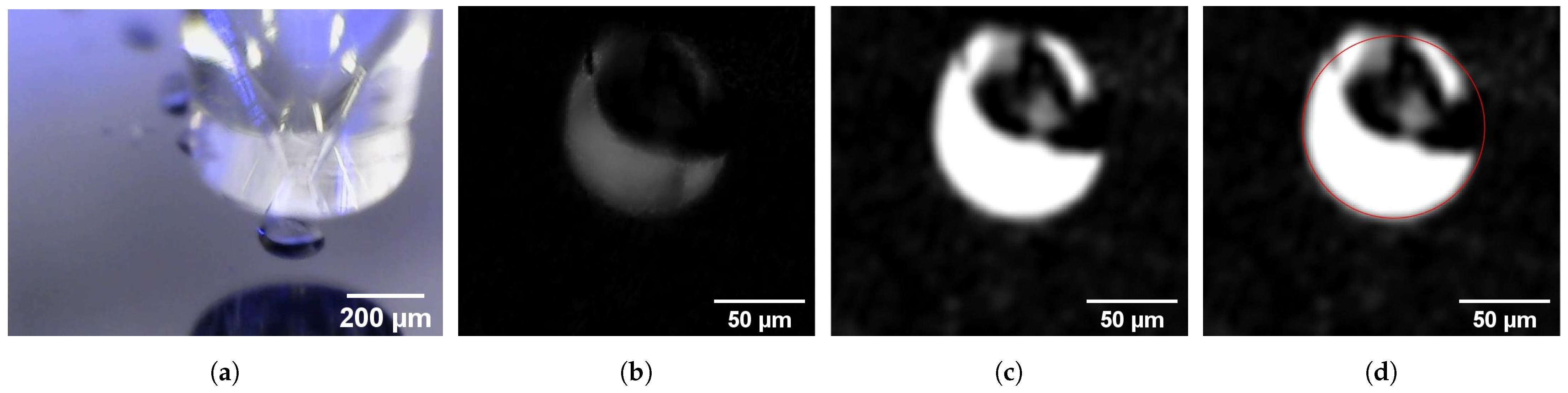 Micromachines 13 01878 g005