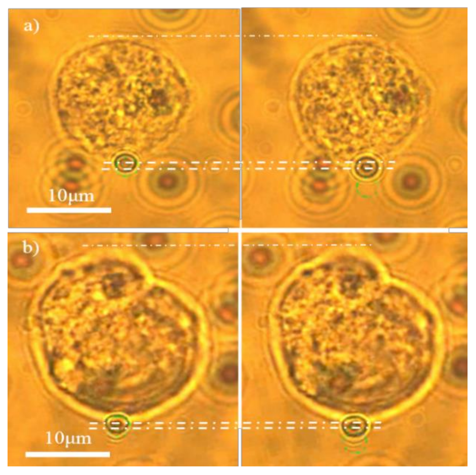 Micromachines 13 01885 g002 Micromachines 13 01885 g002