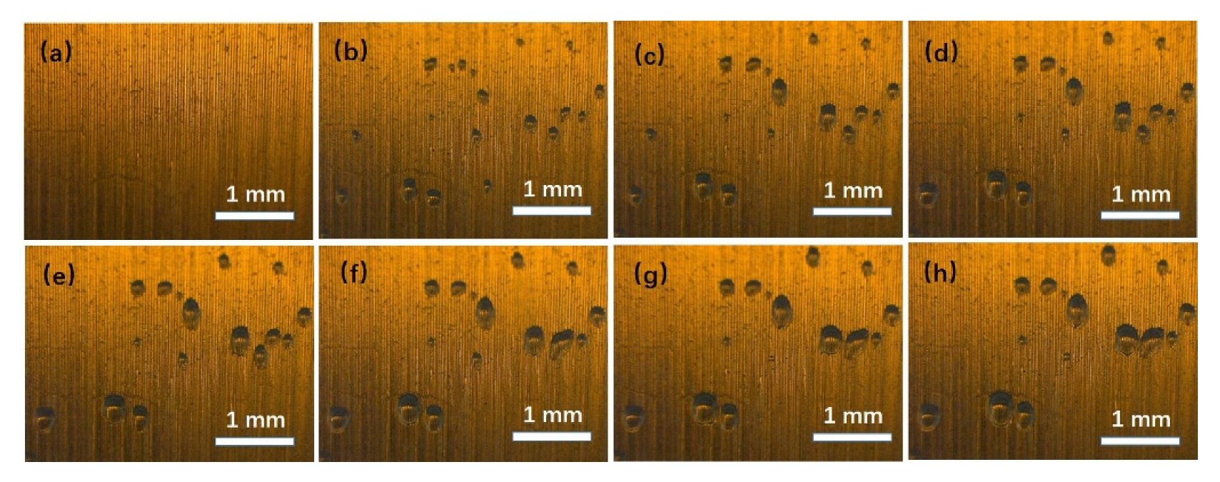 Micromachines 13 01893 g003 Micromachines 13 01893 g003