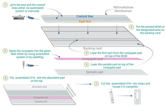 Lateral Flow Immunoassays for Detecting Viral Infectious