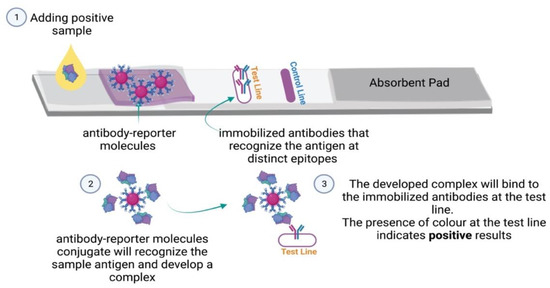 Lateral Flow Immunoassays for Detecting Viral Infectious
