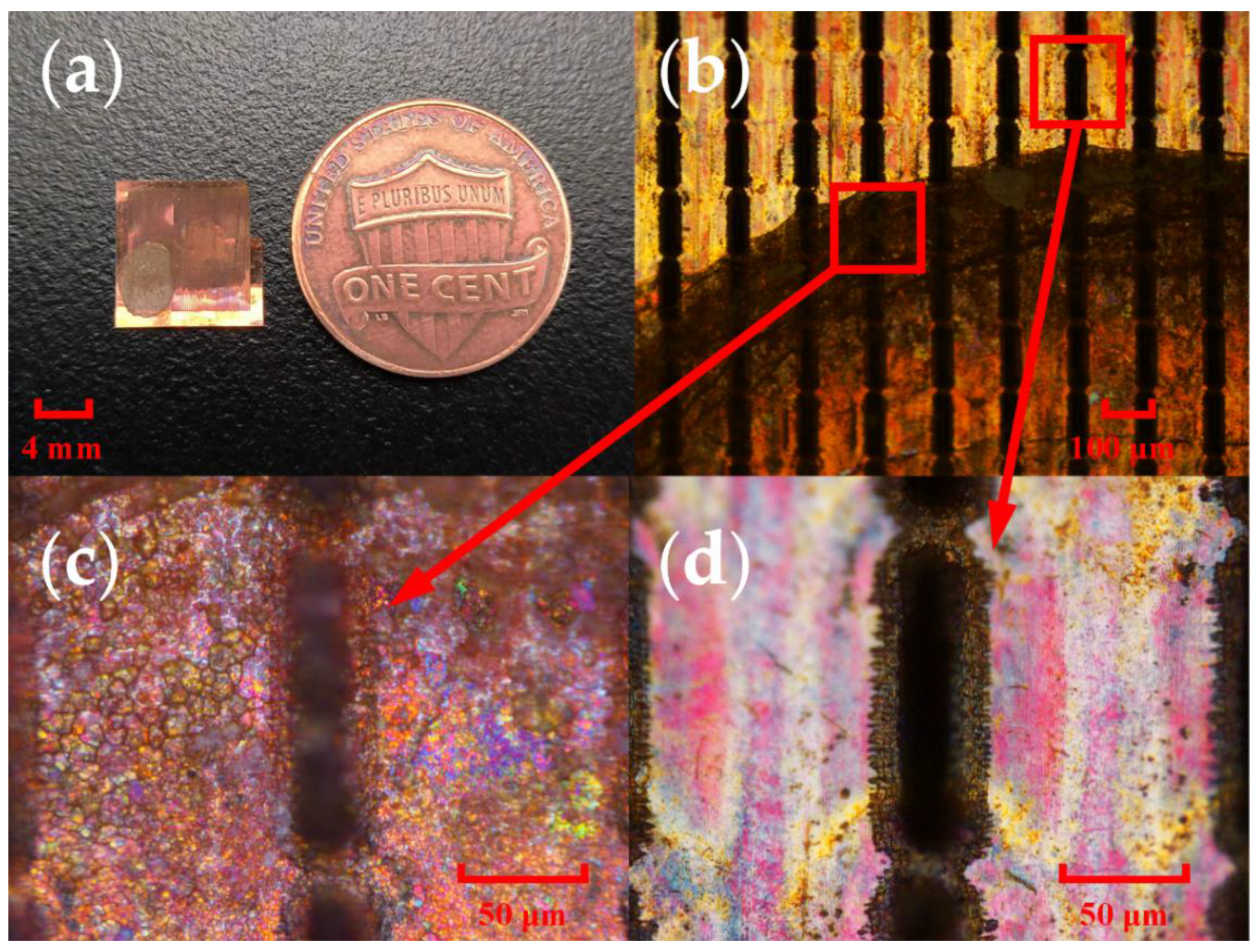 Micromachines 13 01902 g006