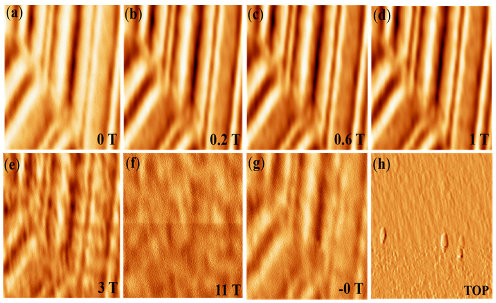 Micromachines 13 01922 g005 Micromachines 13 01922 g005