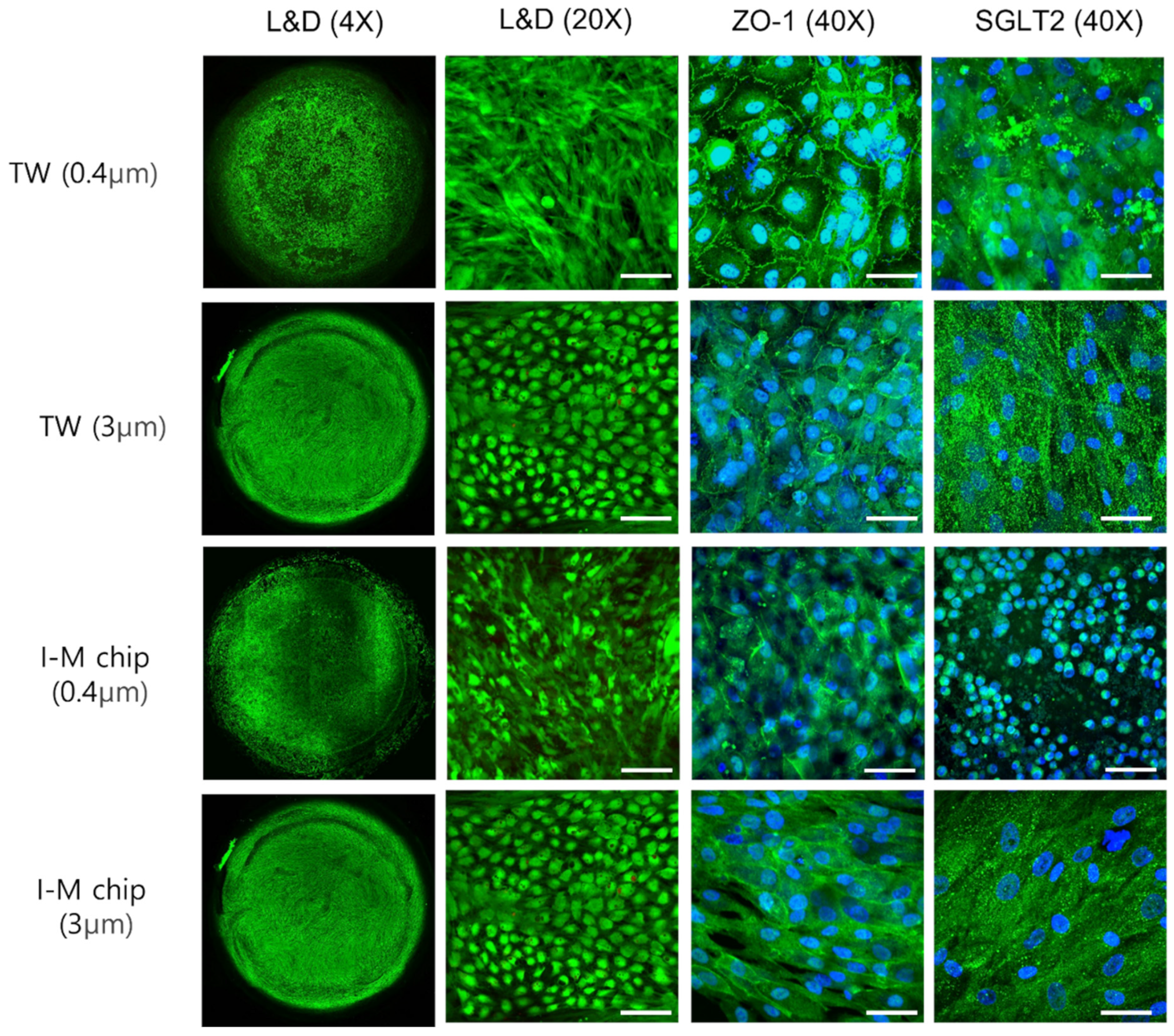 Micromachines 13 01932 g002 Micromachines 13 01932 g002