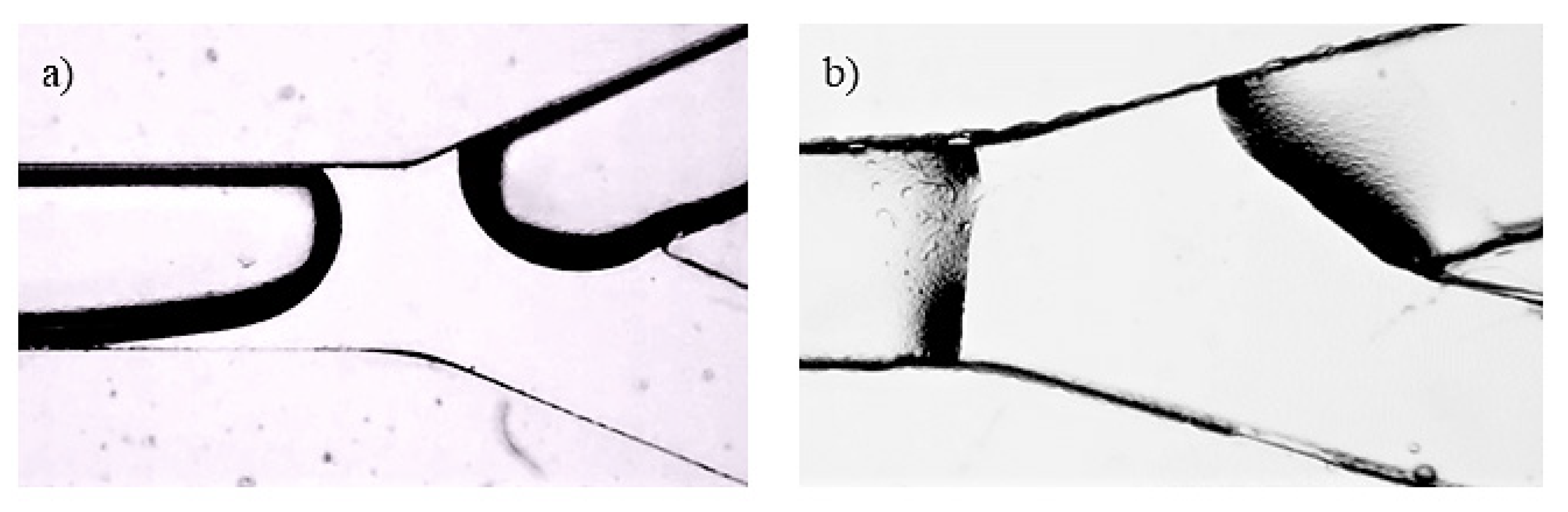 Micromachines 13 01941 g001