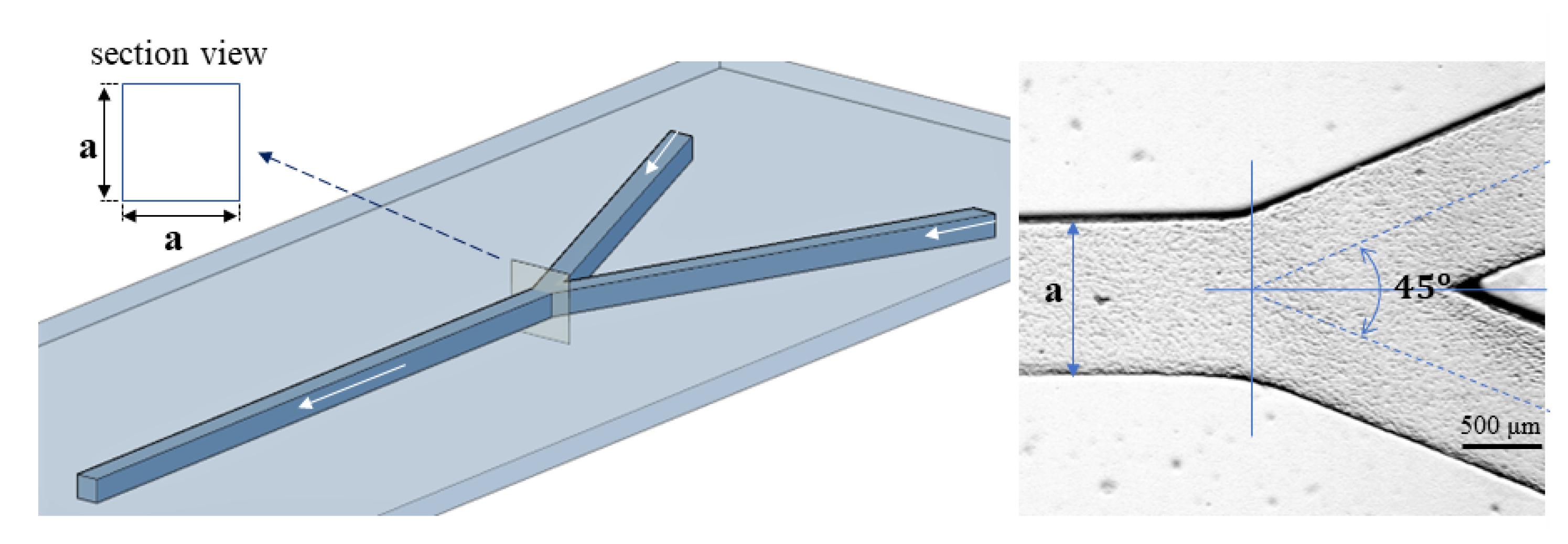 Micromachines 13 01941 g002