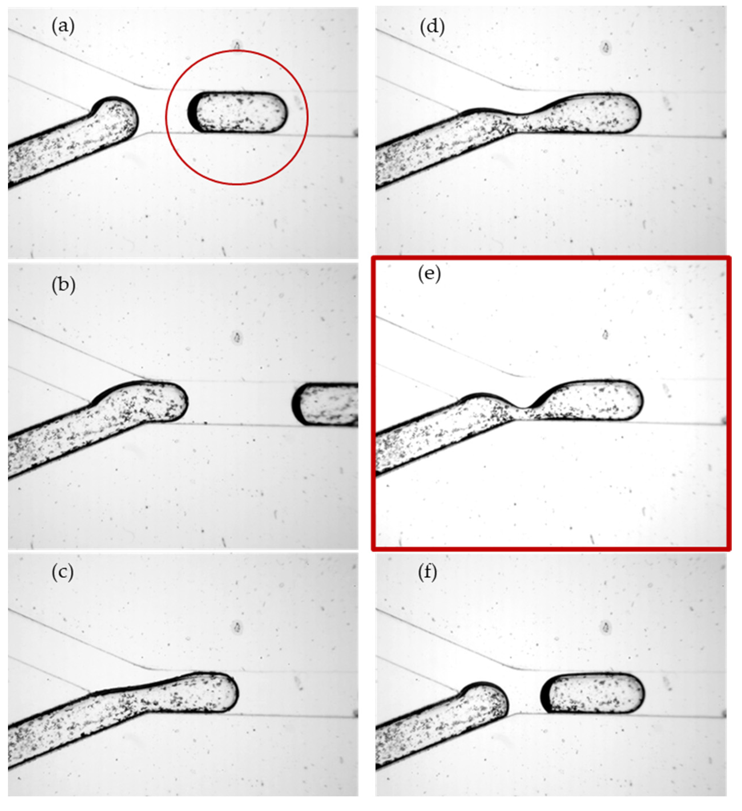 Micromachines 13 01941 g006