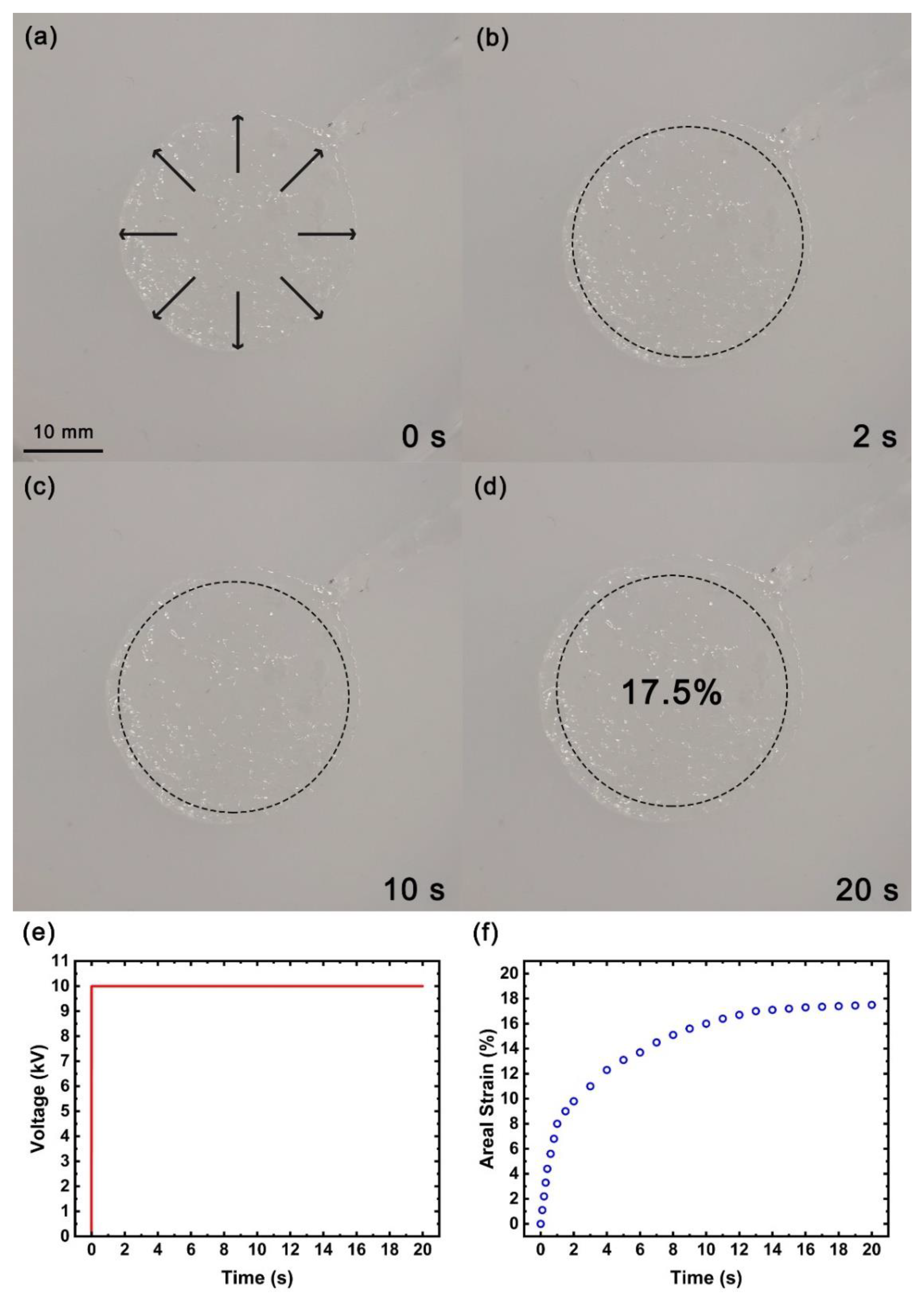Micromachines 13 01951 g009 Micromachines 13 01951 g009