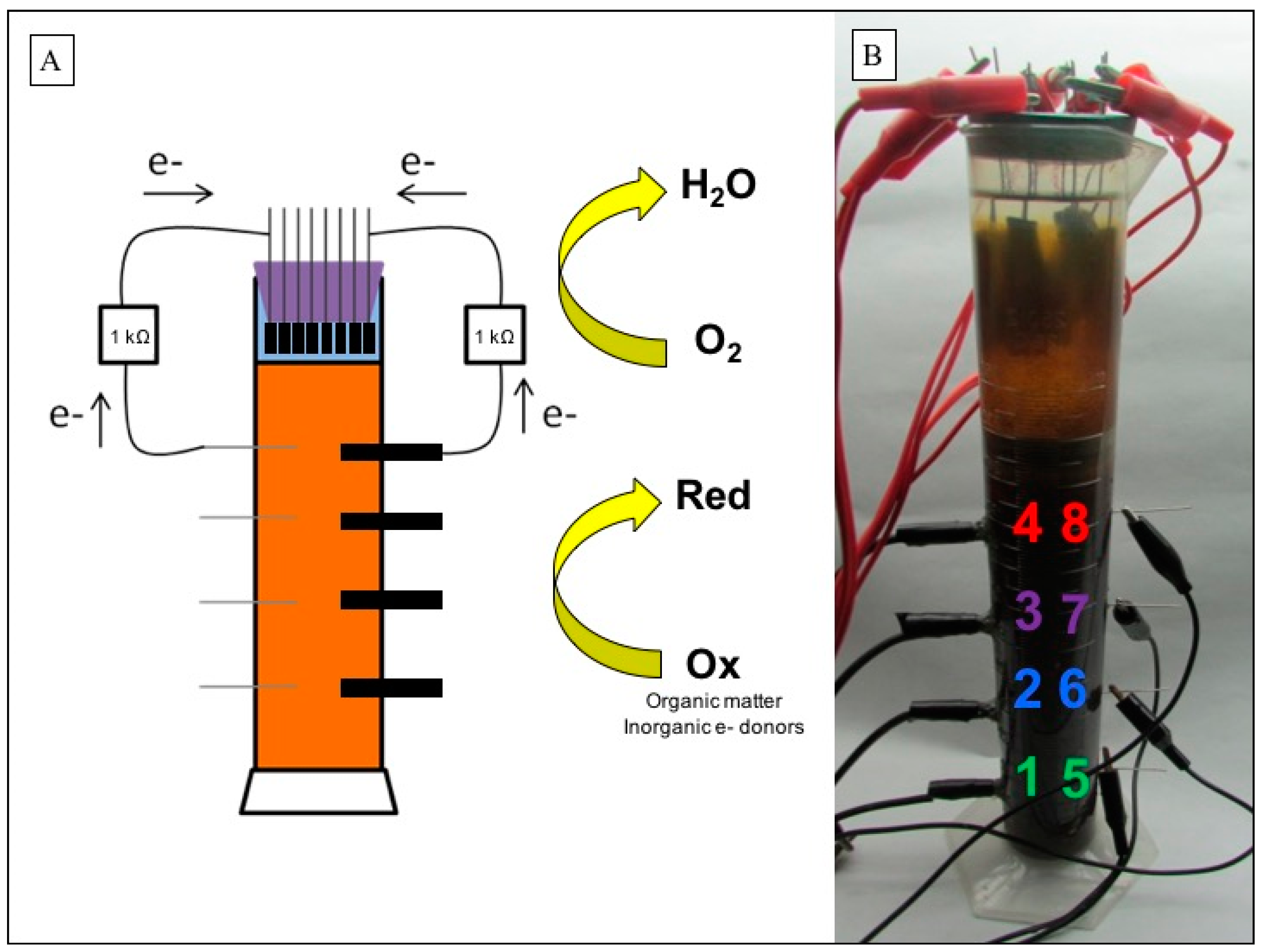Micromachines 13 01953 g002 Micromachines 13 01953 g002