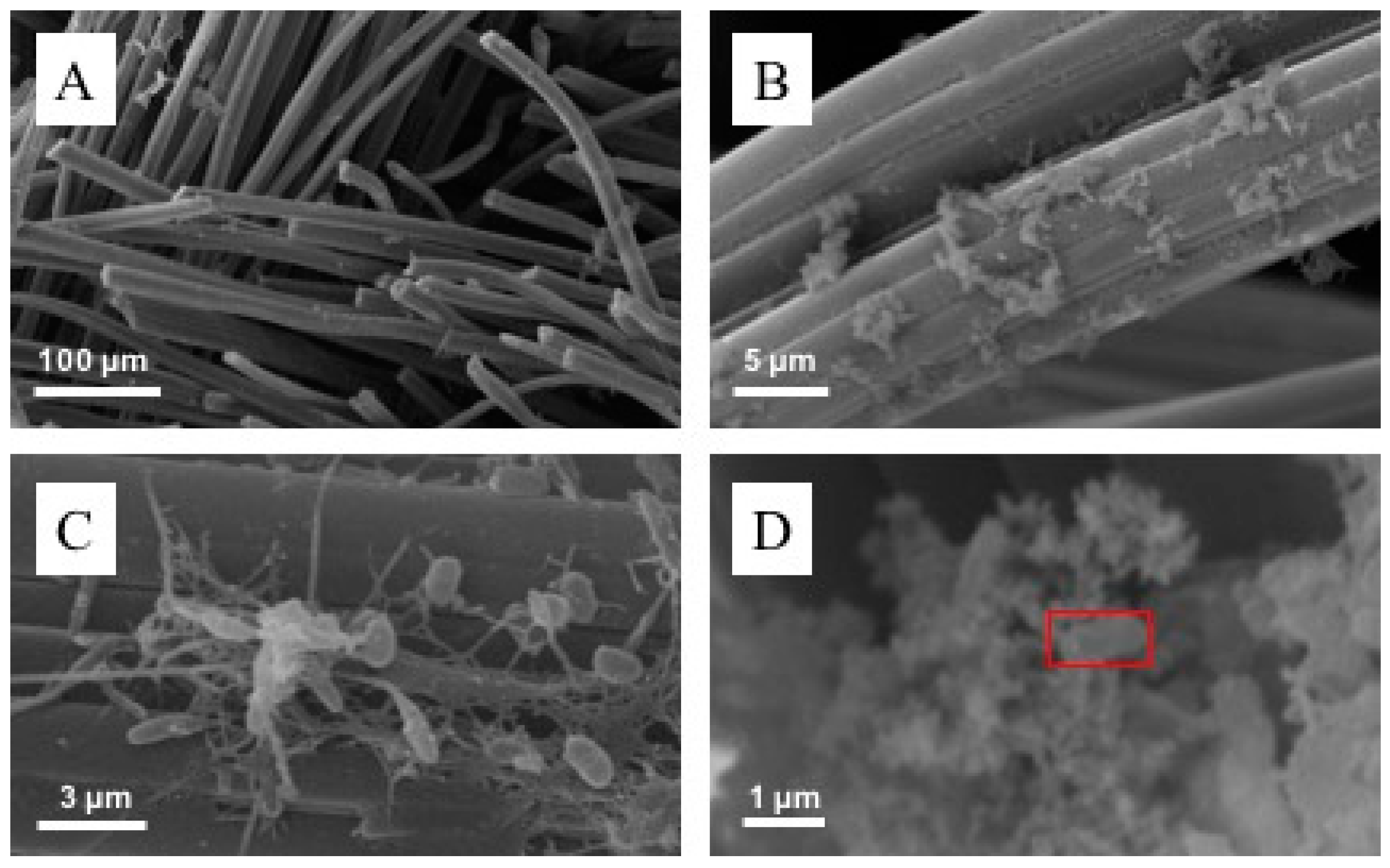 Micromachines 13 01953 g005 Micromachines 13 01953 g005