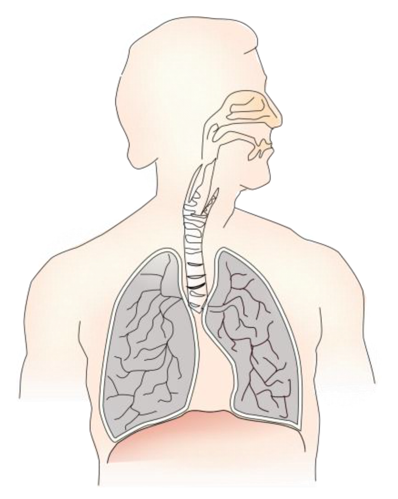 Micromachines 13 01960 g002 Micromachines 13 01960 g002
