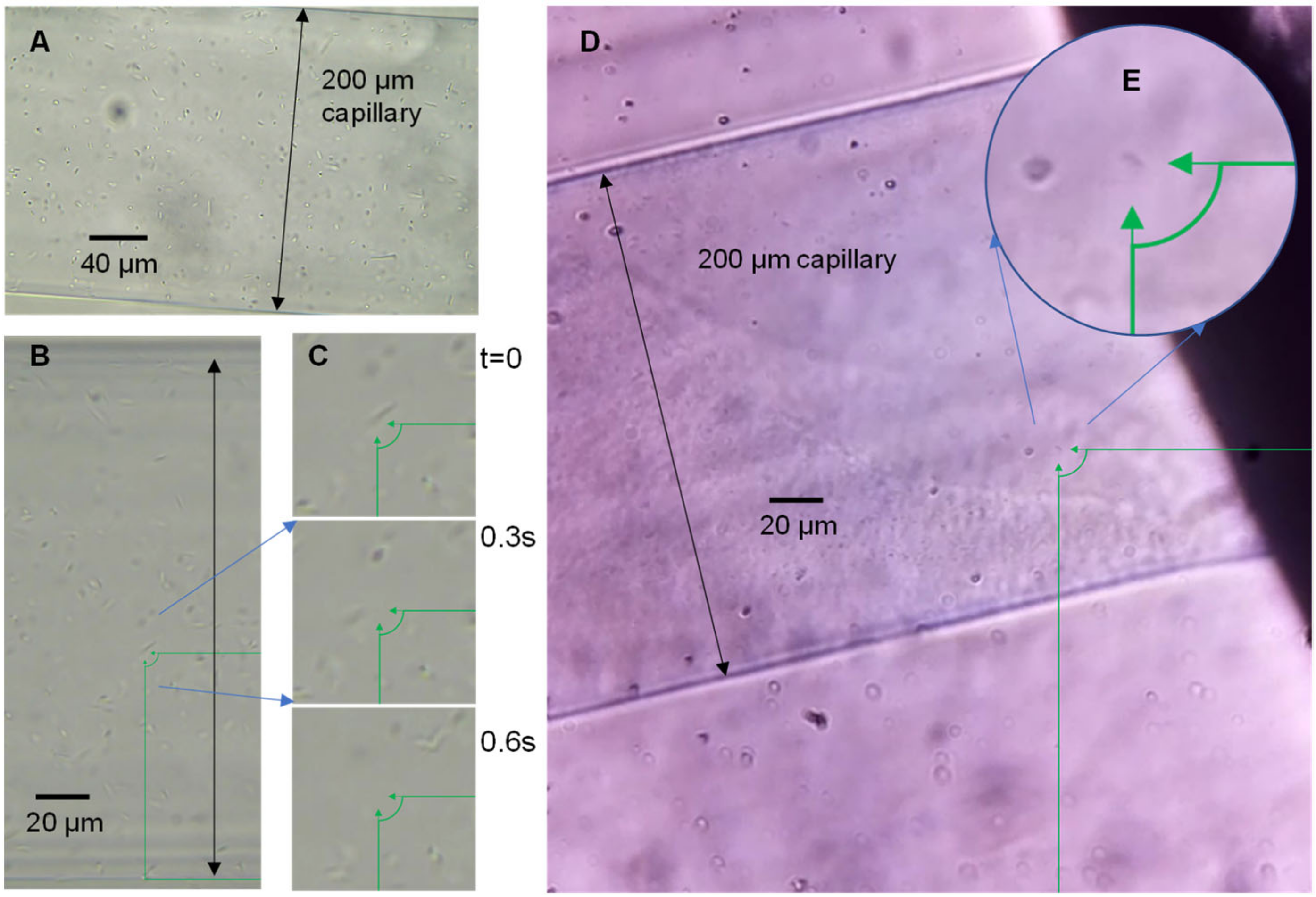 Micromachines 13 01974 g002
