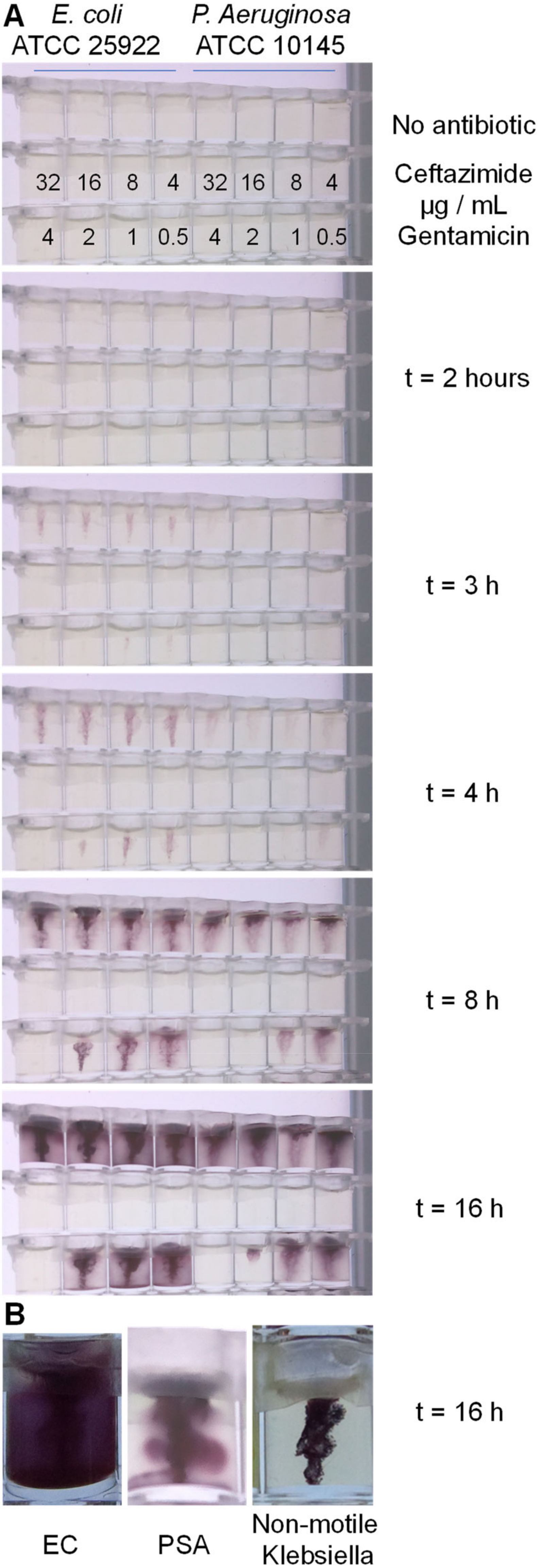 Micromachines 13 01974 g003
